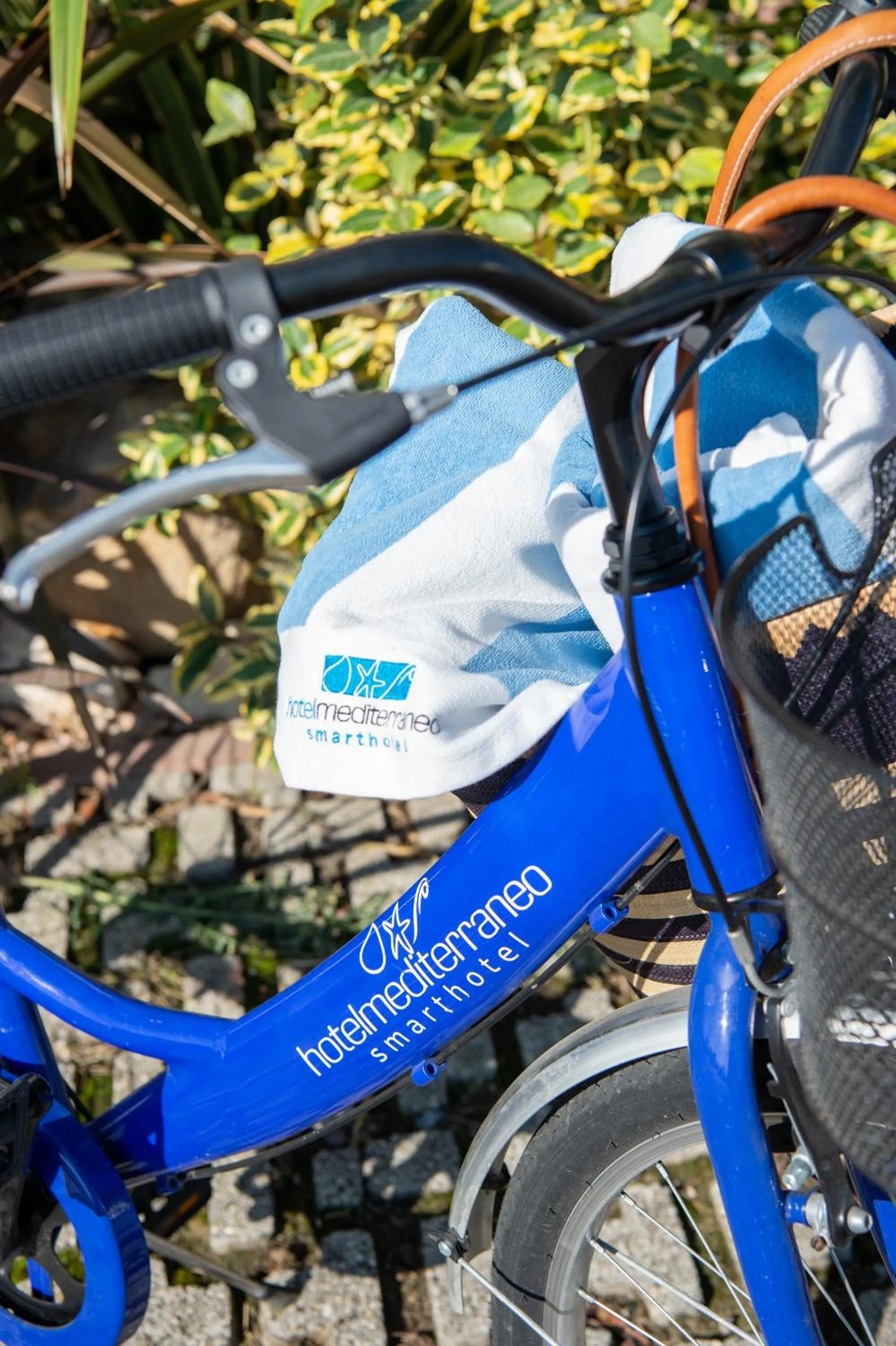 Cycling in Hotel Mediterraneo