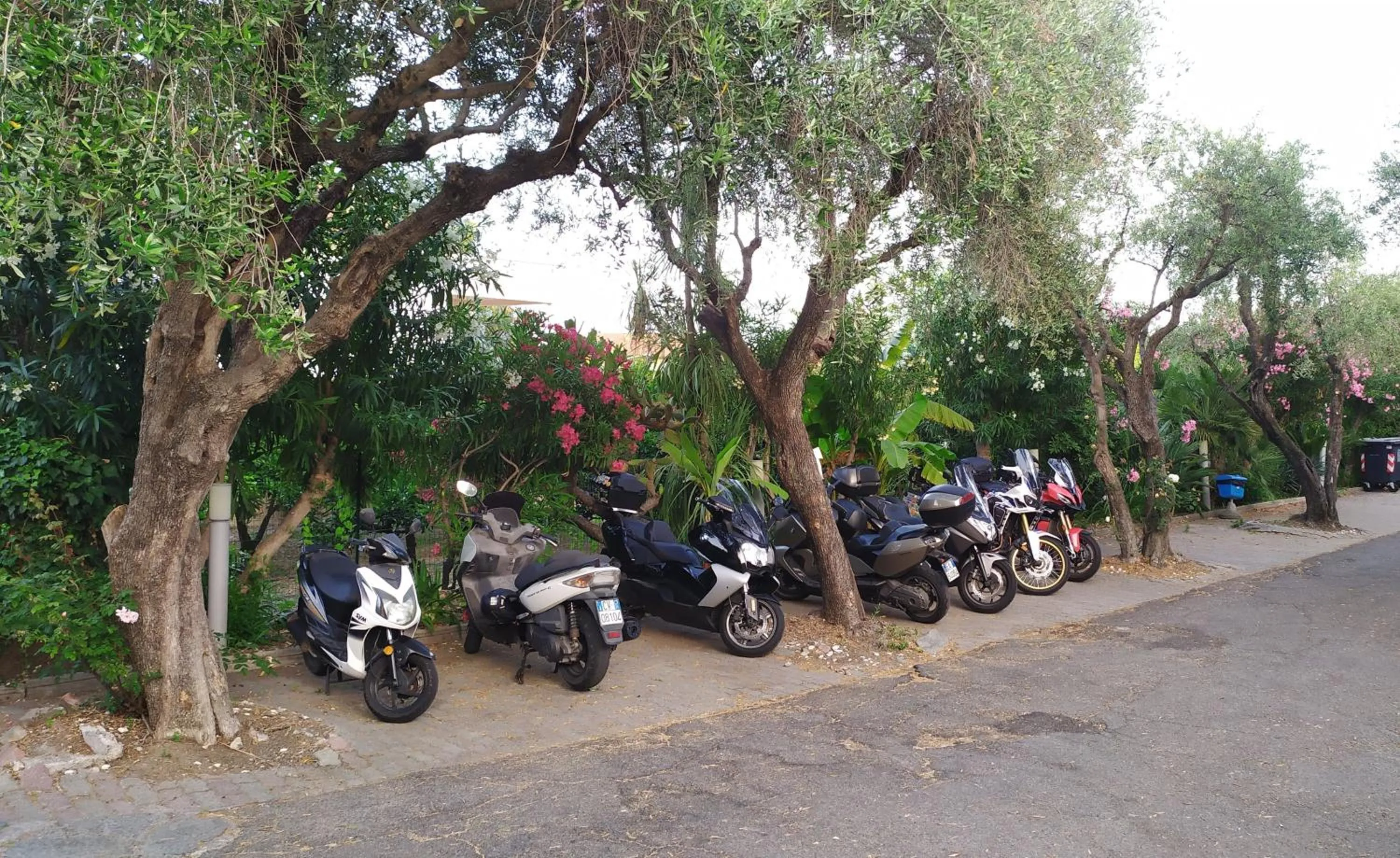 Garden view in Hotel Bellavista