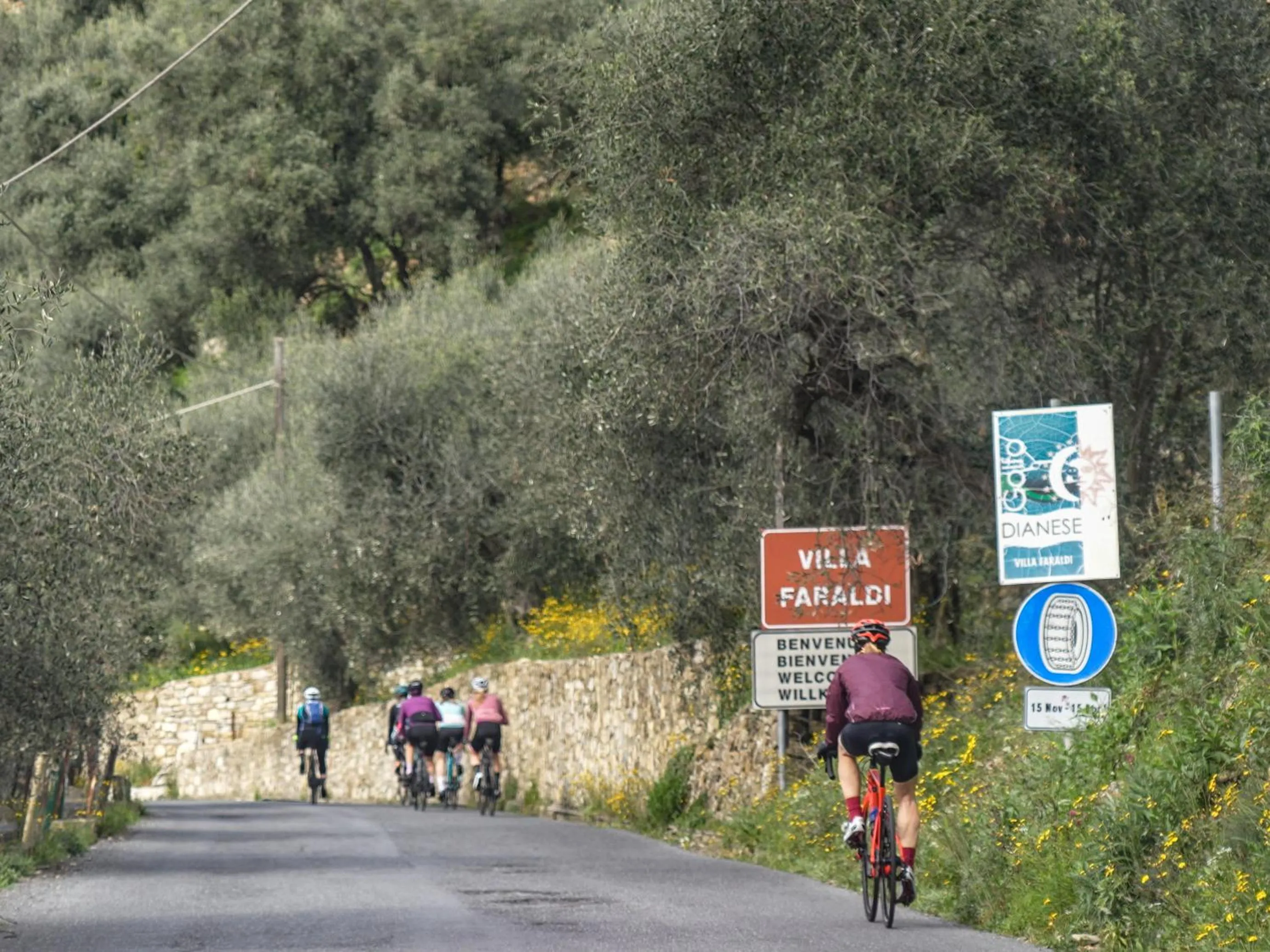 Natural landscape in Hotel Bellavista