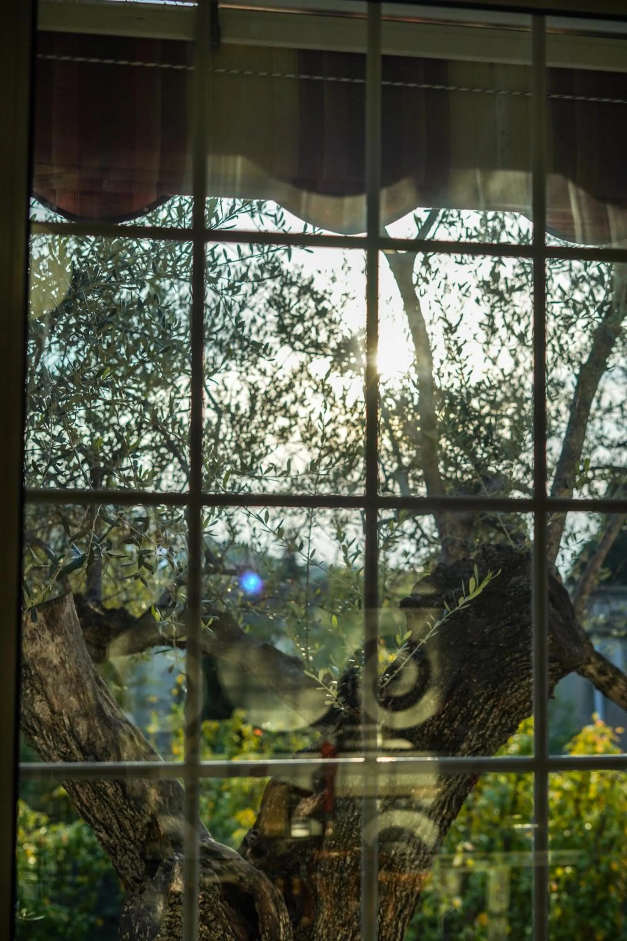 City view in Hotel Bellavista