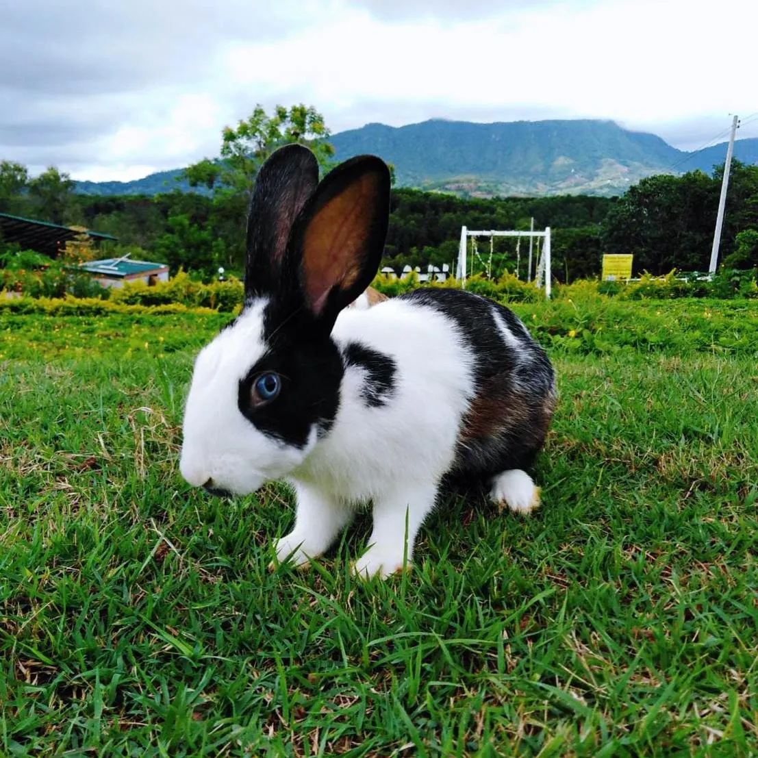Khao Kho Overview Resort
