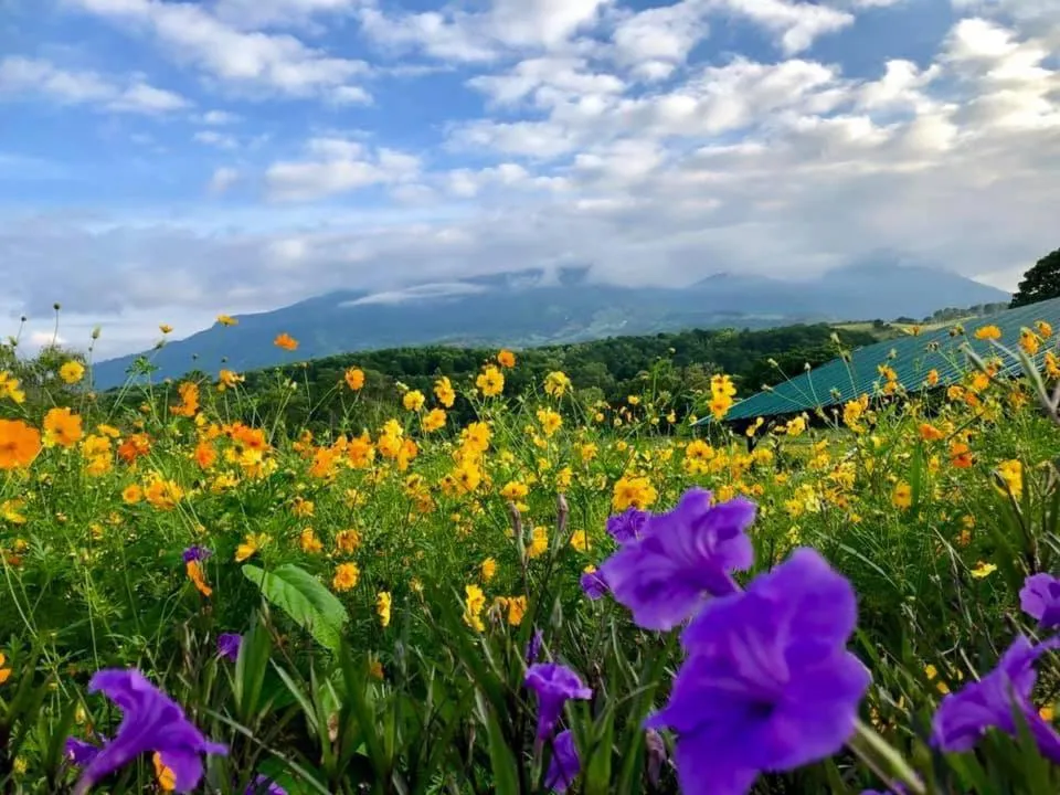 Khao Kho Overview Resort