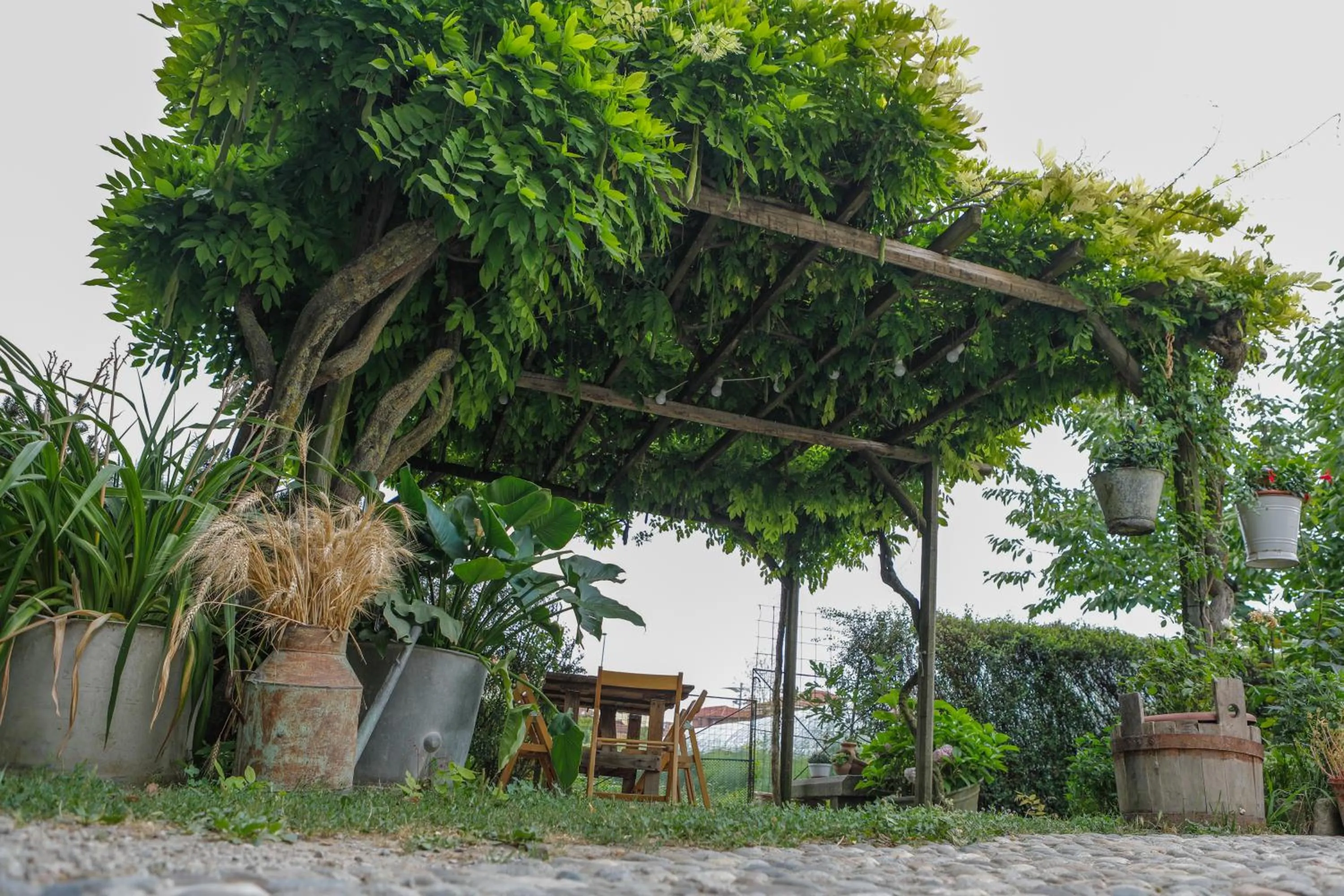 Garden view in Il Germano Reale