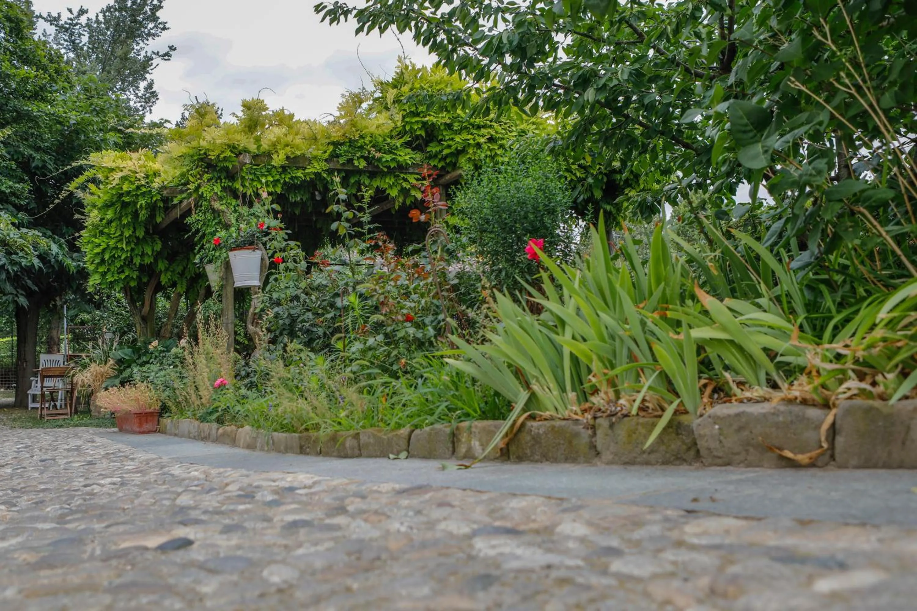 Garden view in Il Germano Reale