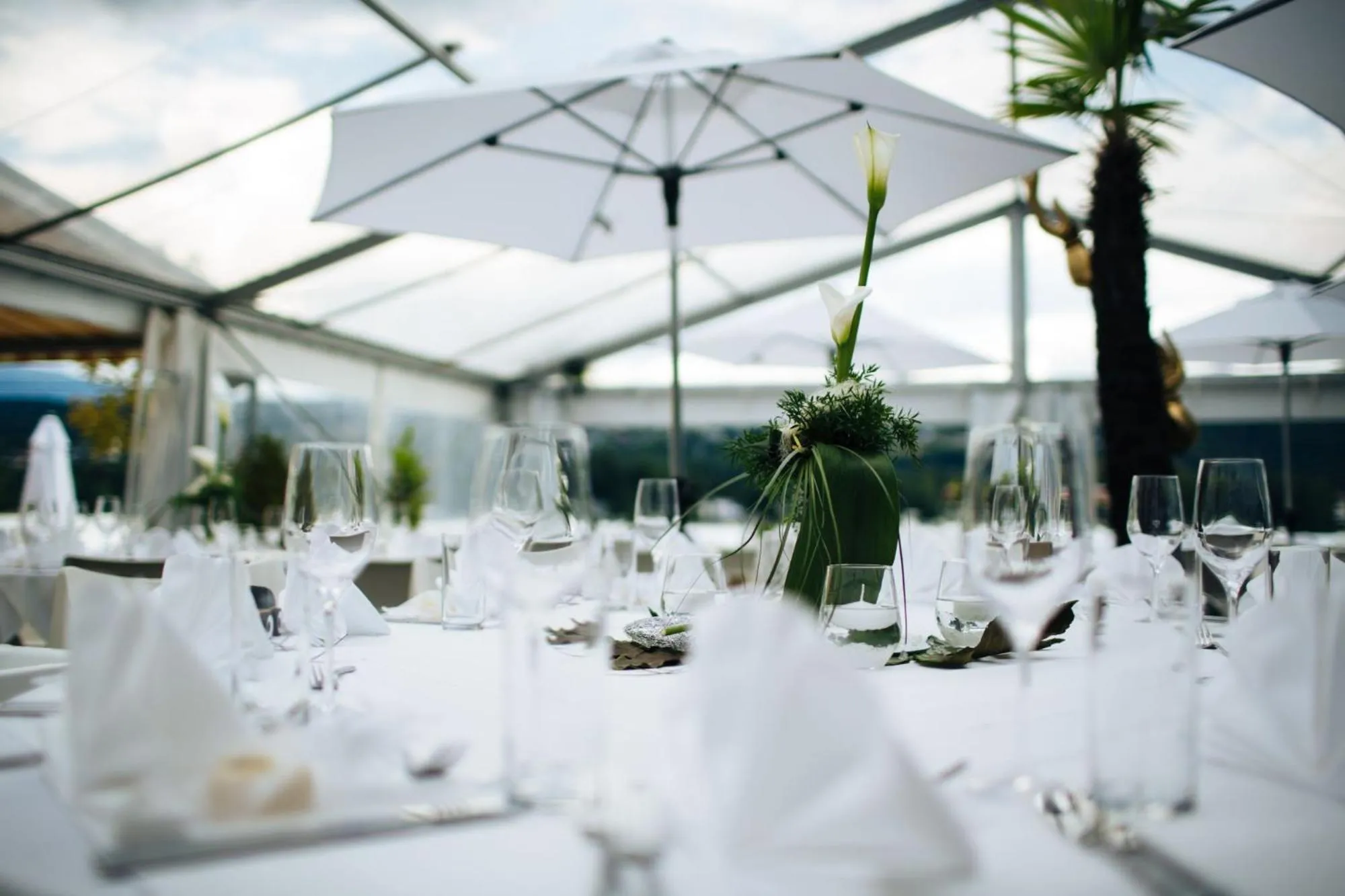 Restaurant/places to eat in Hotel Parks