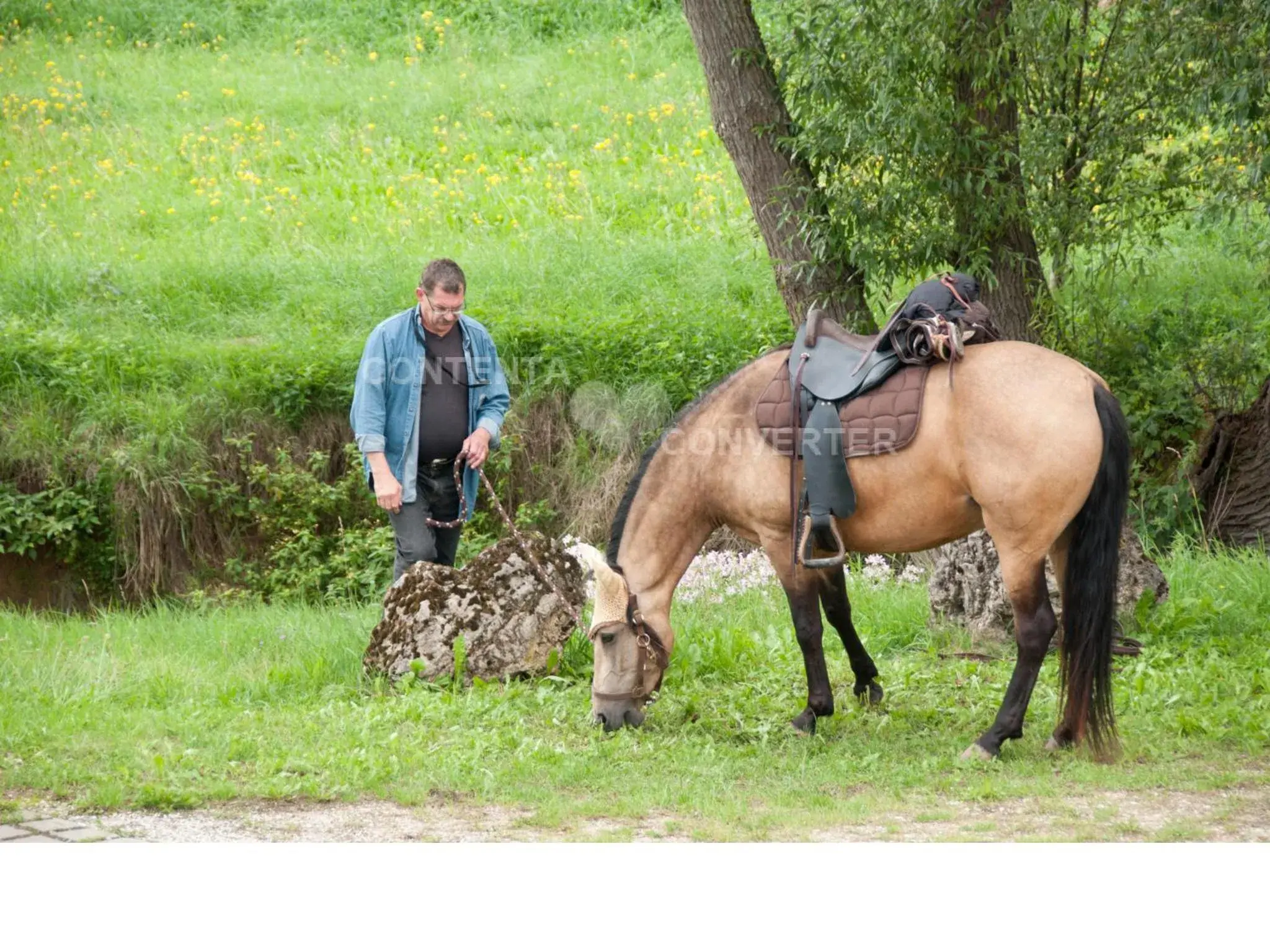 Day, Horseback Riding in Landgasthof Feihl