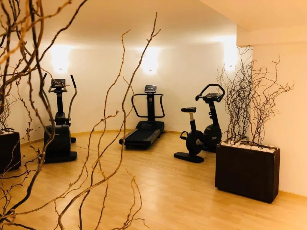 Fitness centre/facilities in Pizzomunno Vieste Palace Hotel