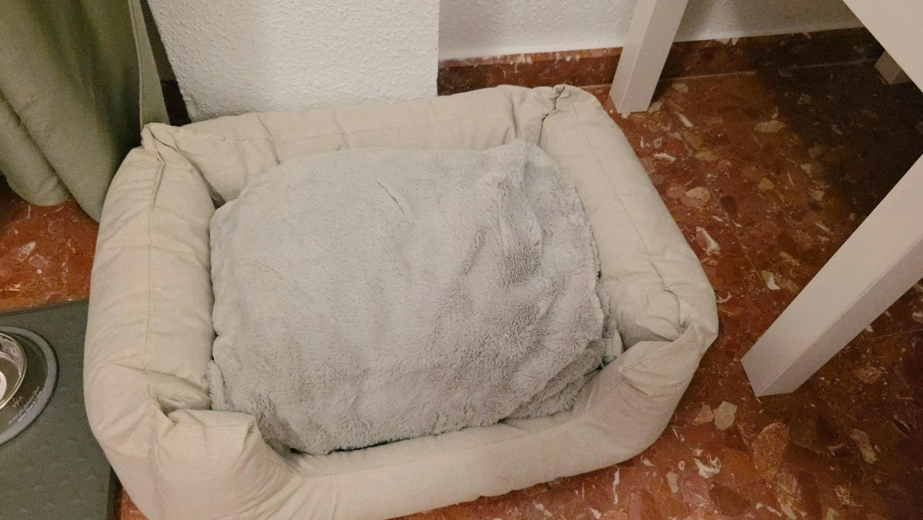 Animals in Hotel Al-Ándalus Peal, en Cazorla Comarca