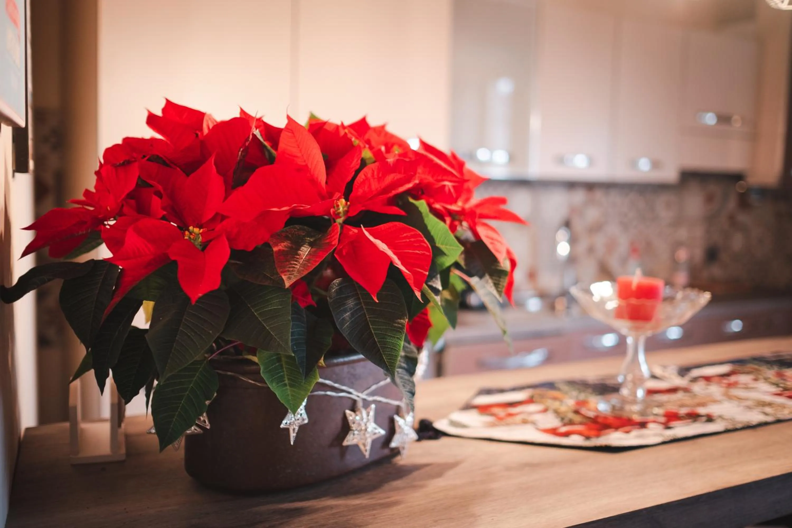 Decorative detail in B&B Corte Seguini