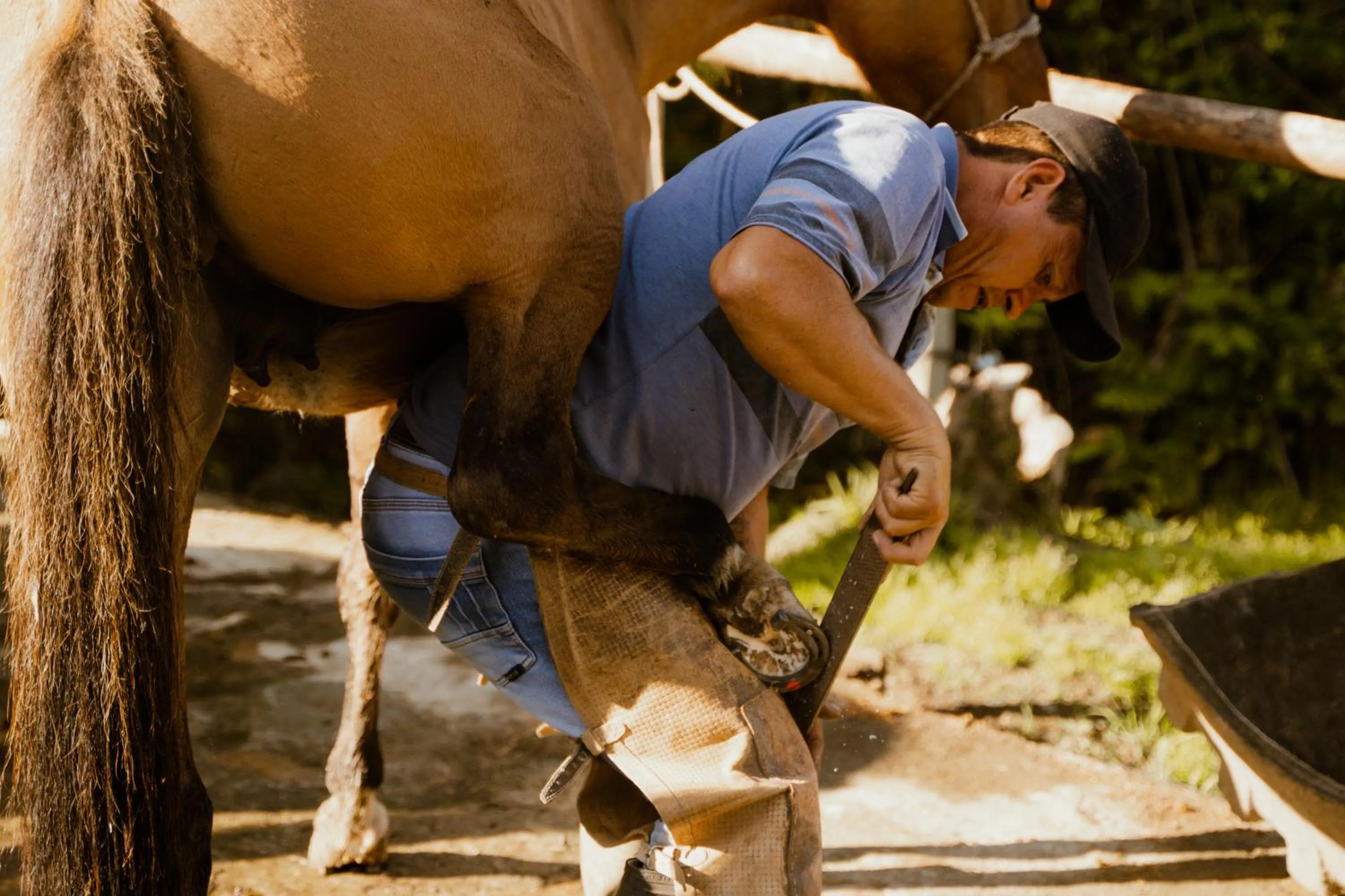 Reserva Guadalajara - Authentic farm with Horses in Cocora Valley - Salento