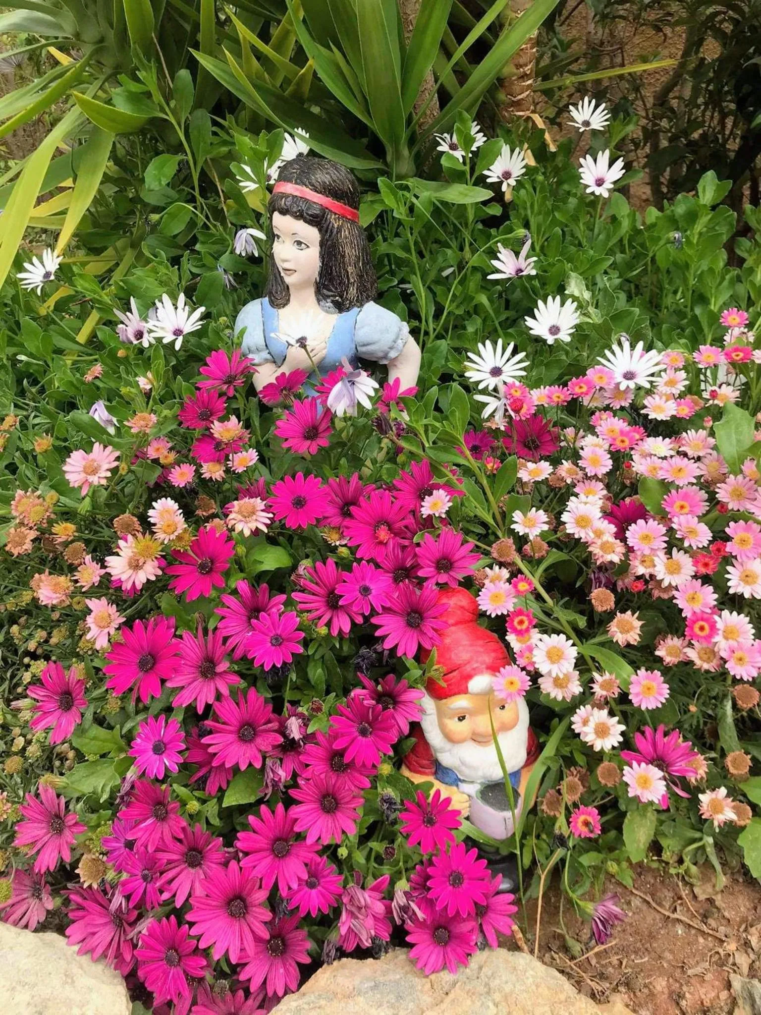 Garden in Angelina's Home