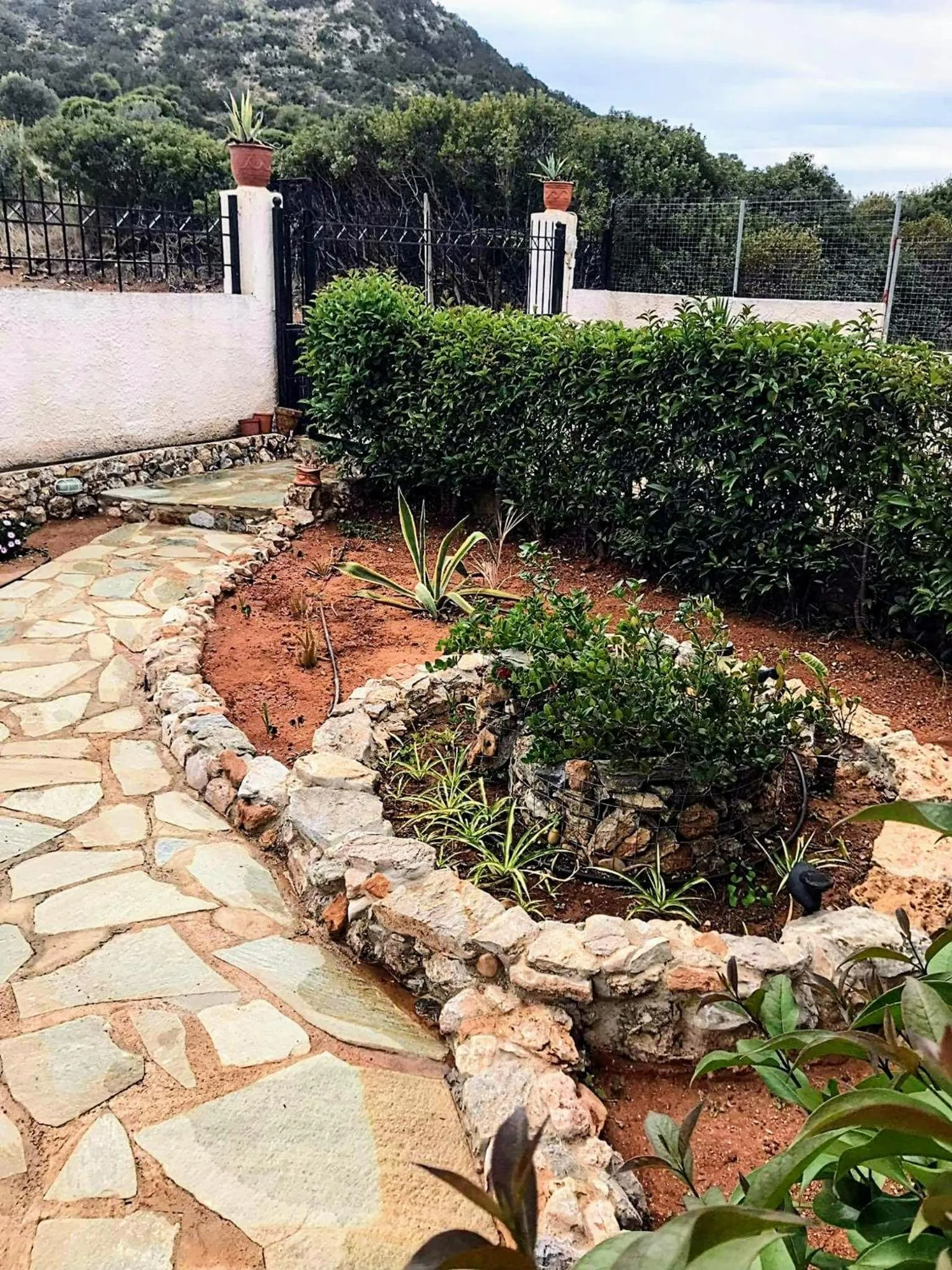 Garden in Angelina's Home