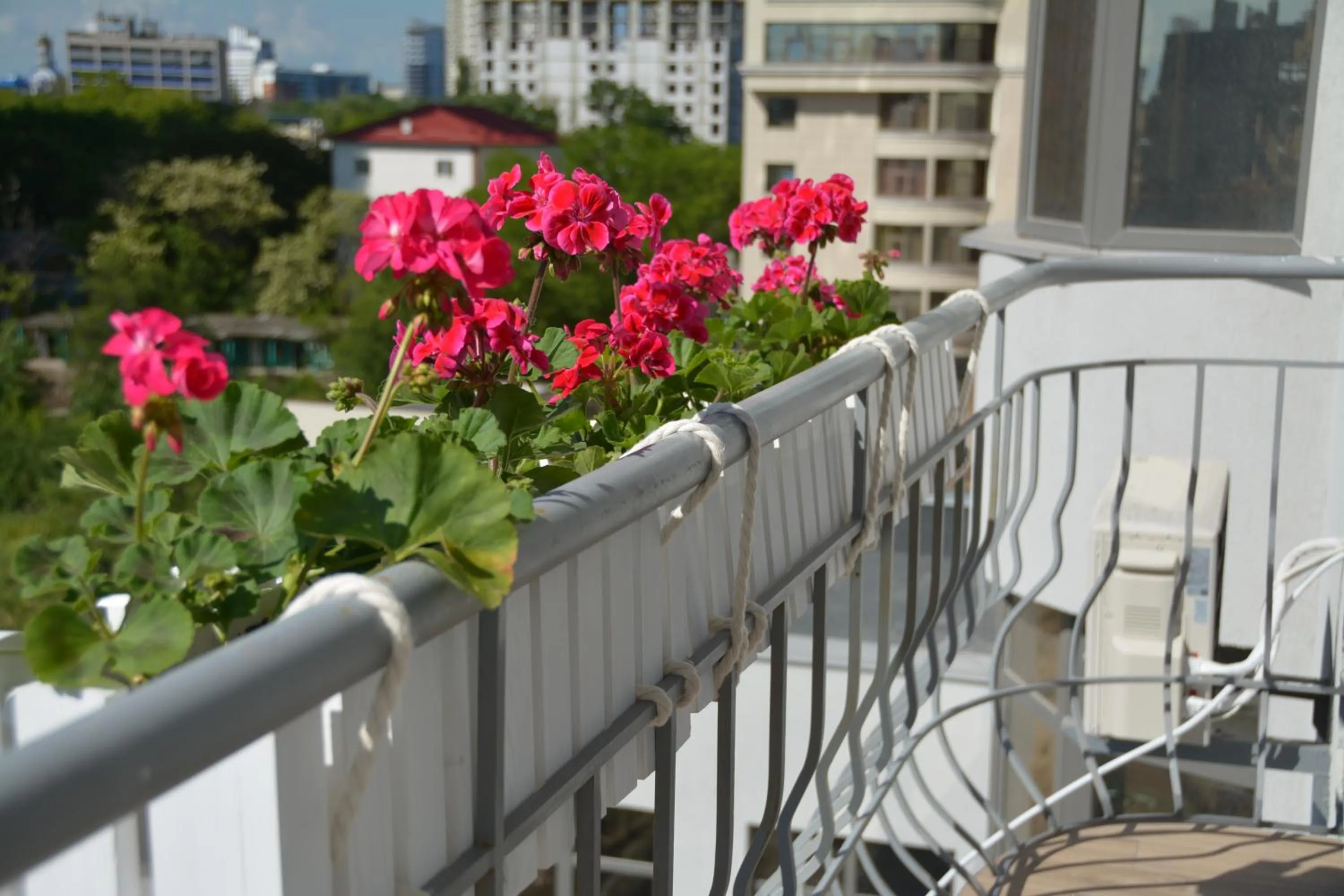 City view in Arkadia Plaza Design Apartment