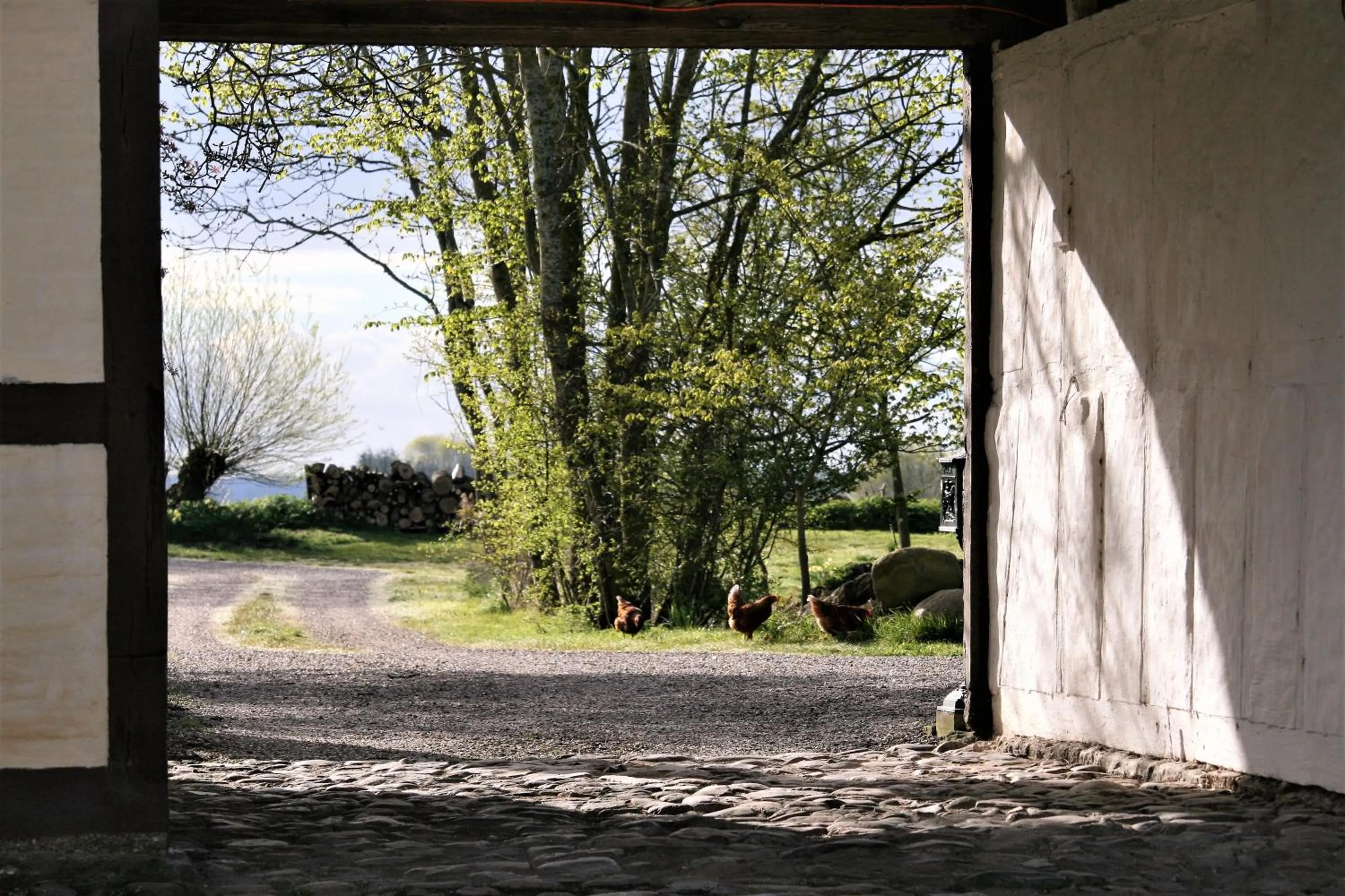 Spring in Ferielejlighed på Rødkærgård