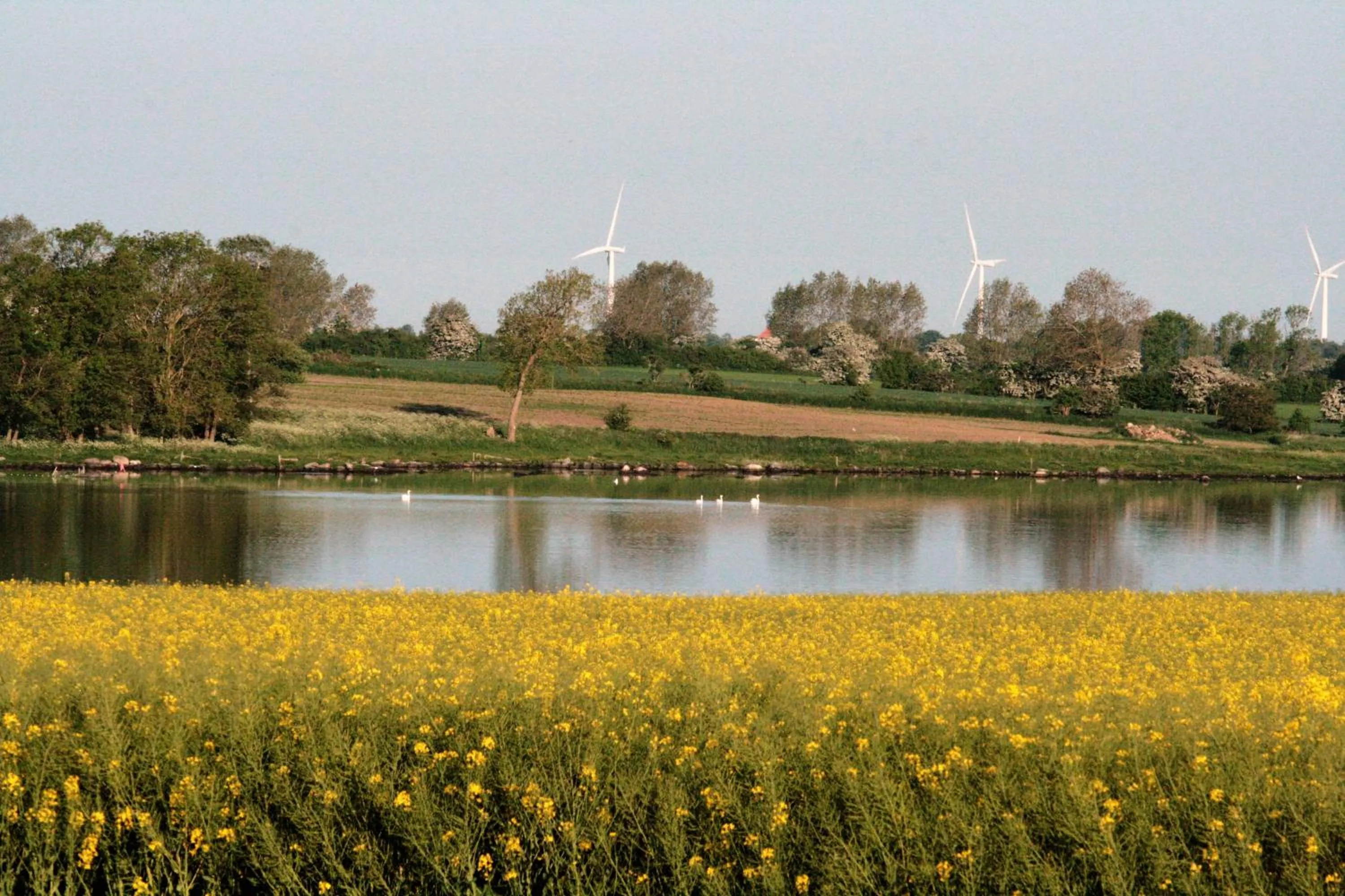 Natural landscape in Ferielejlighed på Rødkærgård