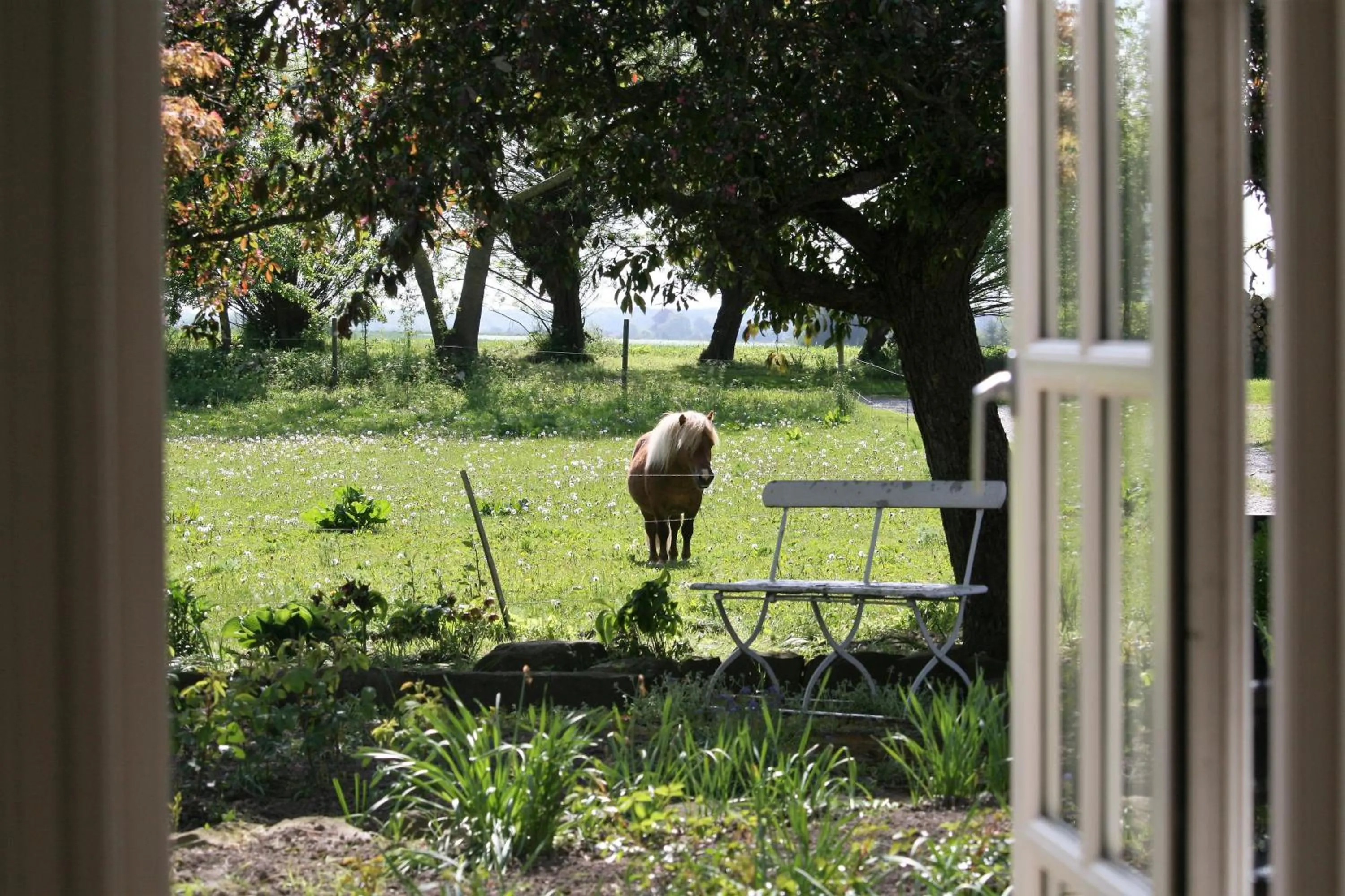 Animals in Ferielejlighed på Rødkærgård