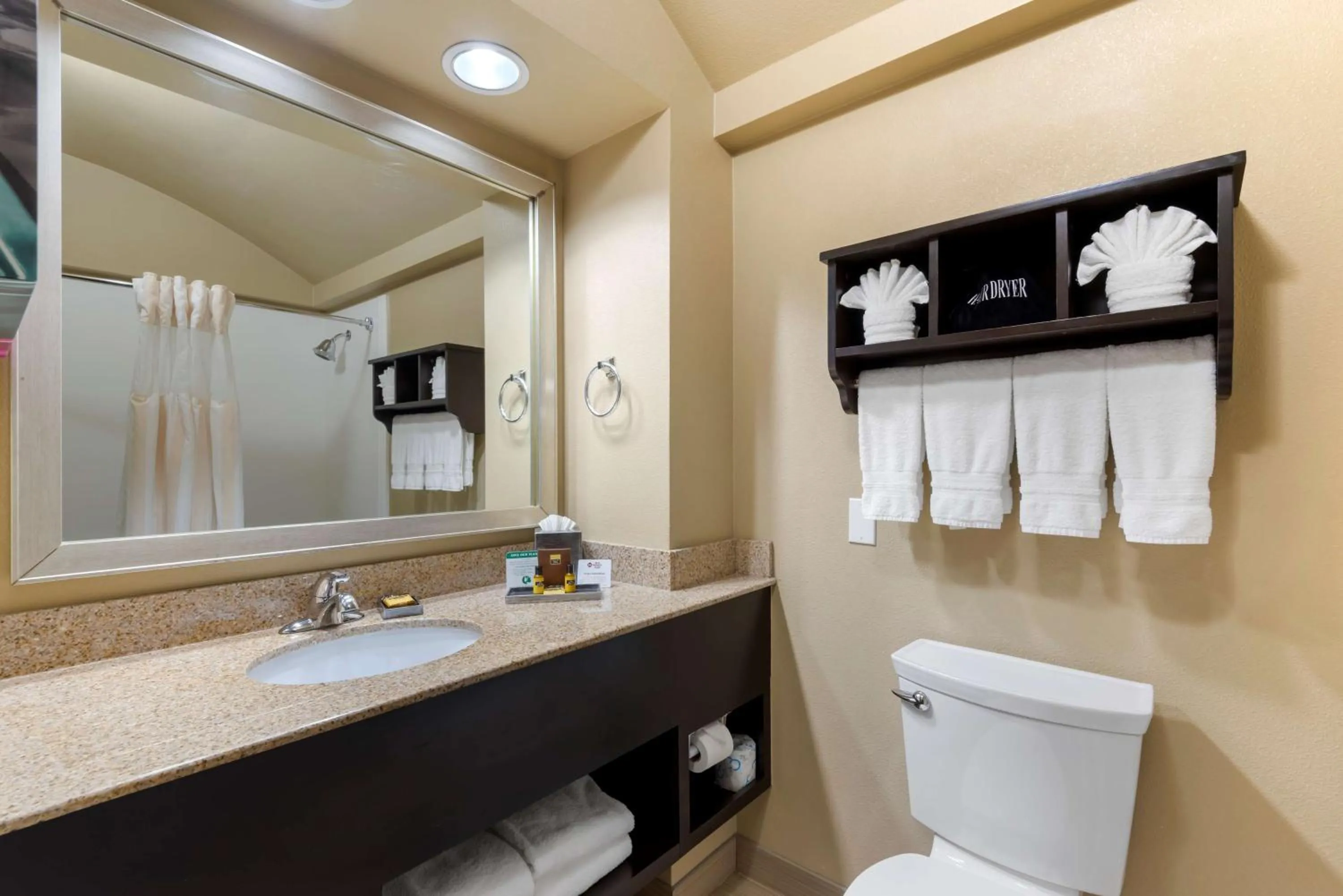 Bathroom in Best Western Plus Arlington North Hotel & Suites