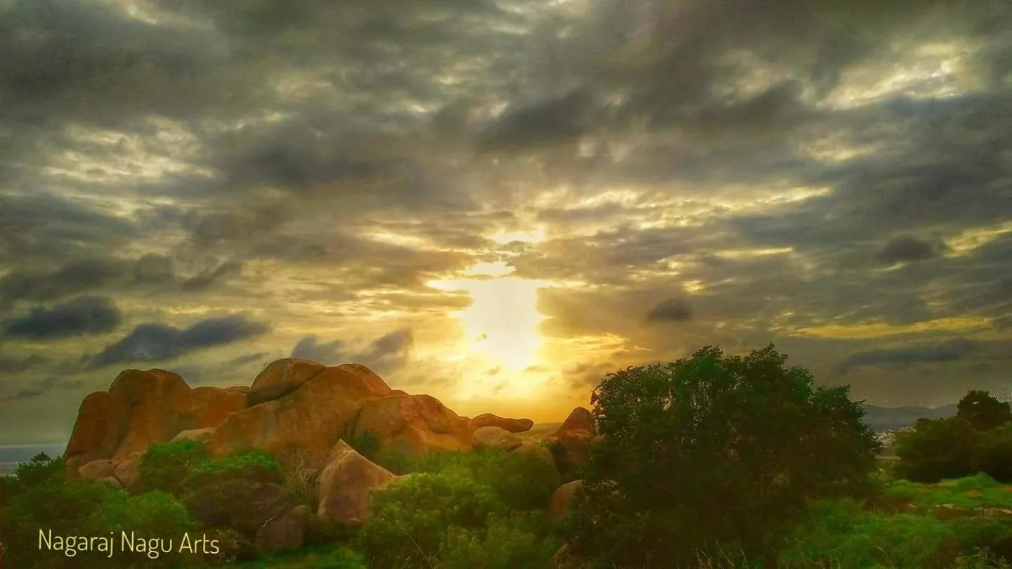 Hotel Ravi Mayur International