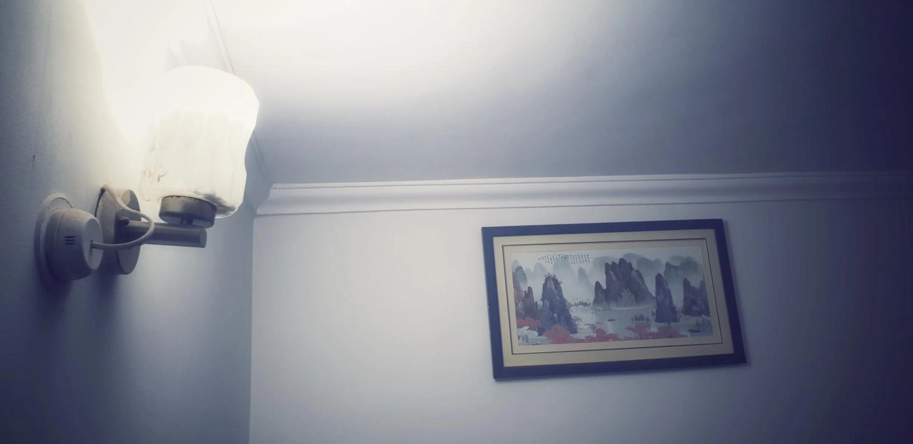 Hotel Ravi Mayur International