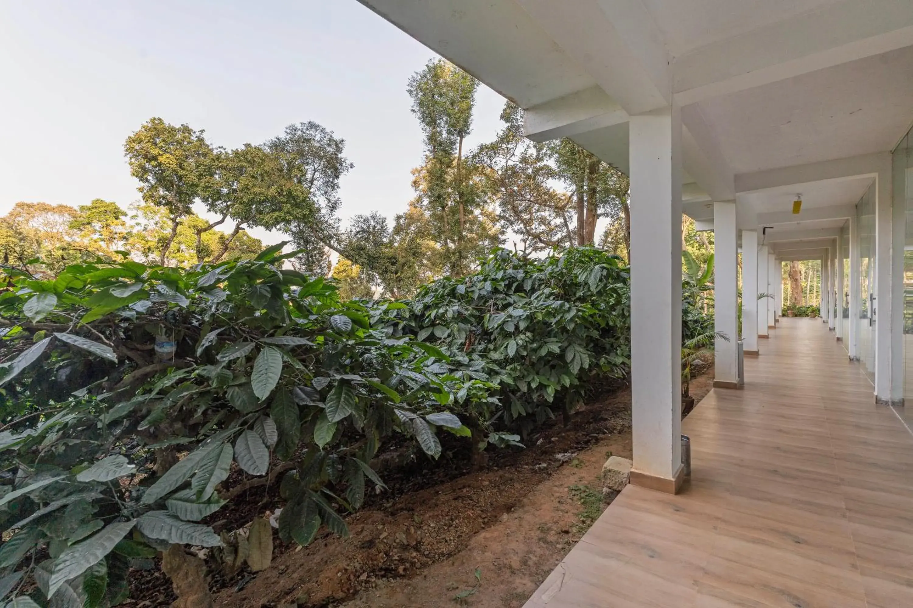 Garden view in Itsy Hotels Jammabane Cottage, 5 Minutes To Mountain View Coffee Plantation Garden view in Itsy Hotels Jammabane Cottage, 5 Minutes To Mountain View Coffee Plantation