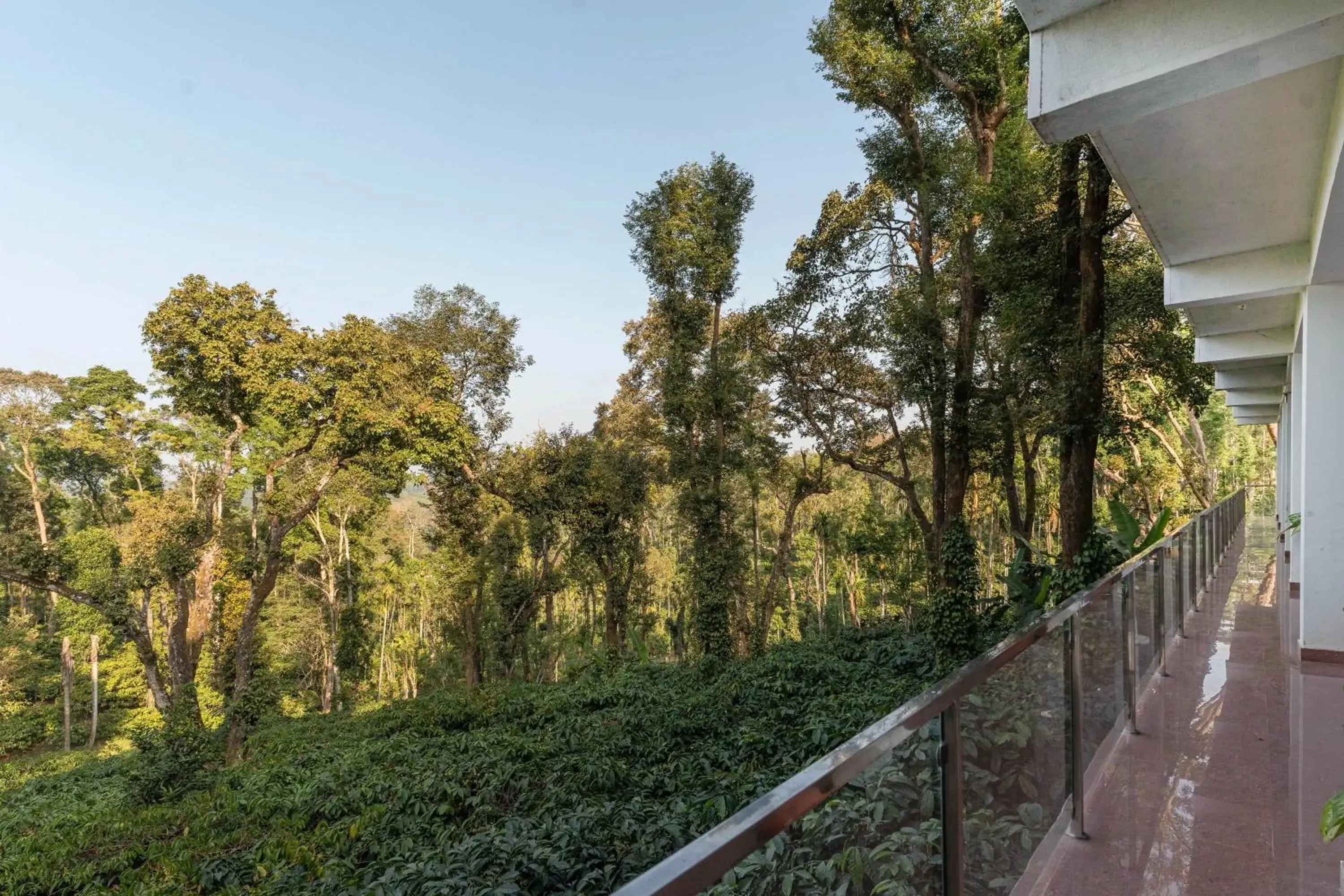 Lobby or reception in Itsy Hotels Jammabane Cottage, 5 Minutes To Mountain View Coffee Plantation Lobby or reception in Itsy Hotels Jammabane Cottage, 5 Minutes To Mountain View Coffee Plantation