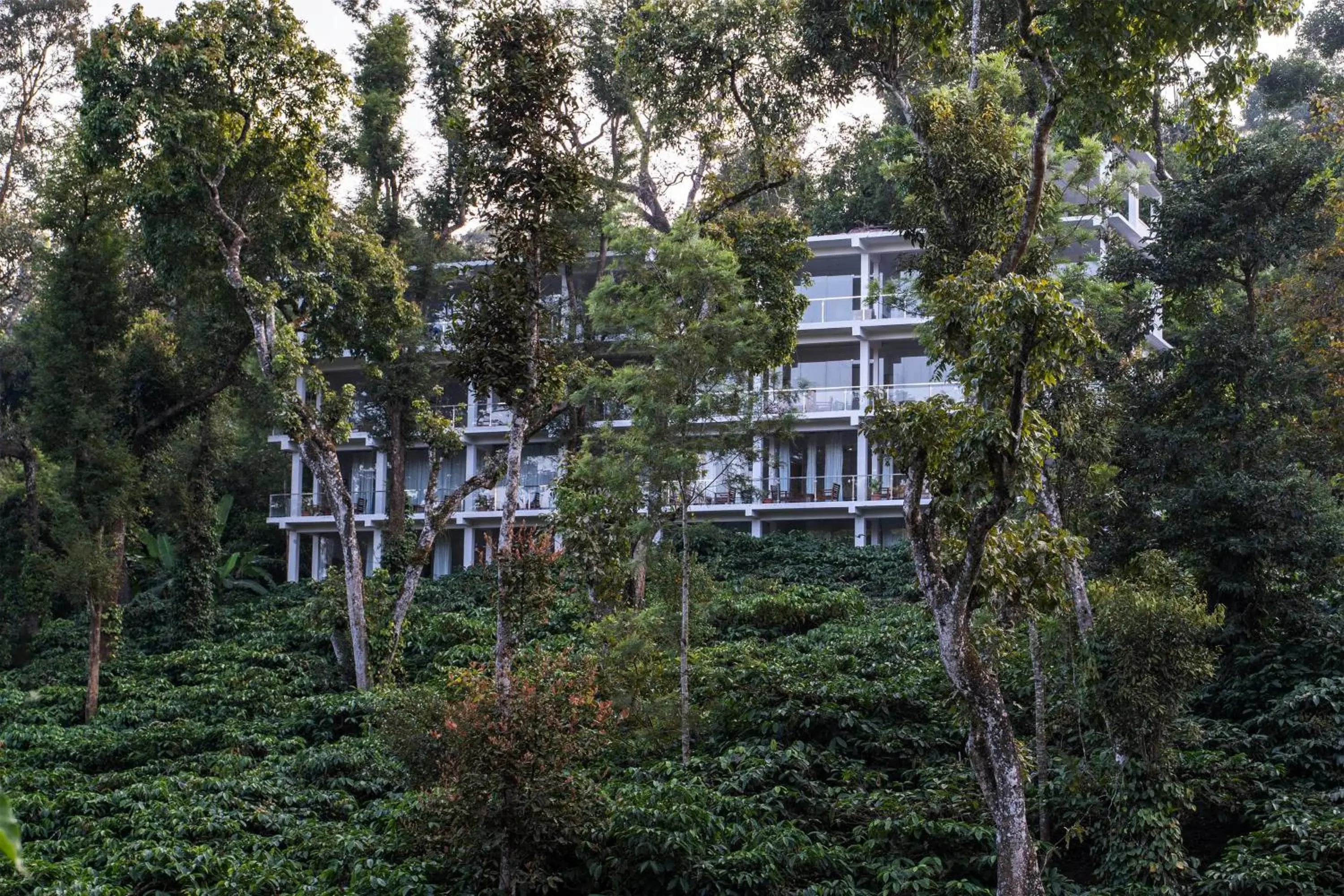 Property building in Itsy Hotels Jammabane Cottage, 5 Minutes To Mountain View Coffee Plantation Property building in Itsy Hotels Jammabane Cottage, 5 Minutes To Mountain View Coffee Plantation