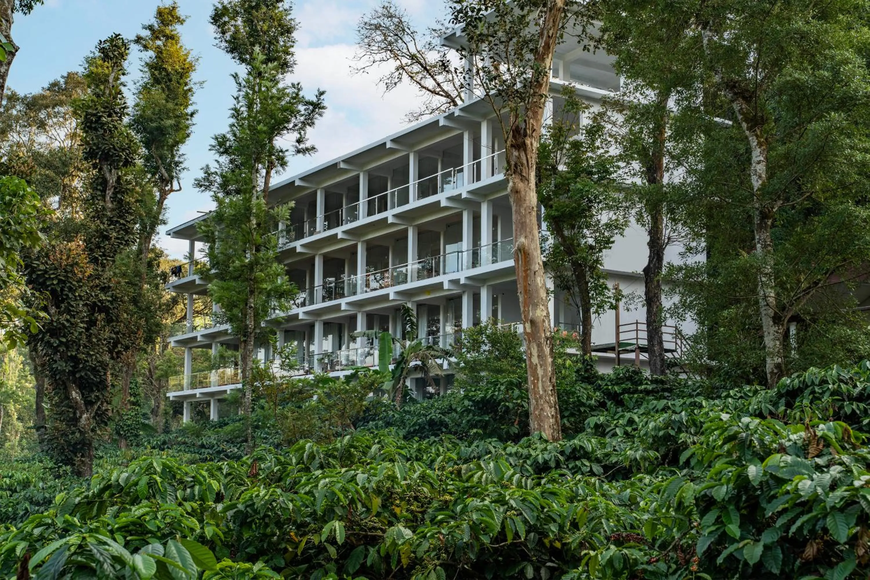 Property building in Itsy Hotels Jammabane Cottage, 5 Minutes To Mountain View Coffee Plantation