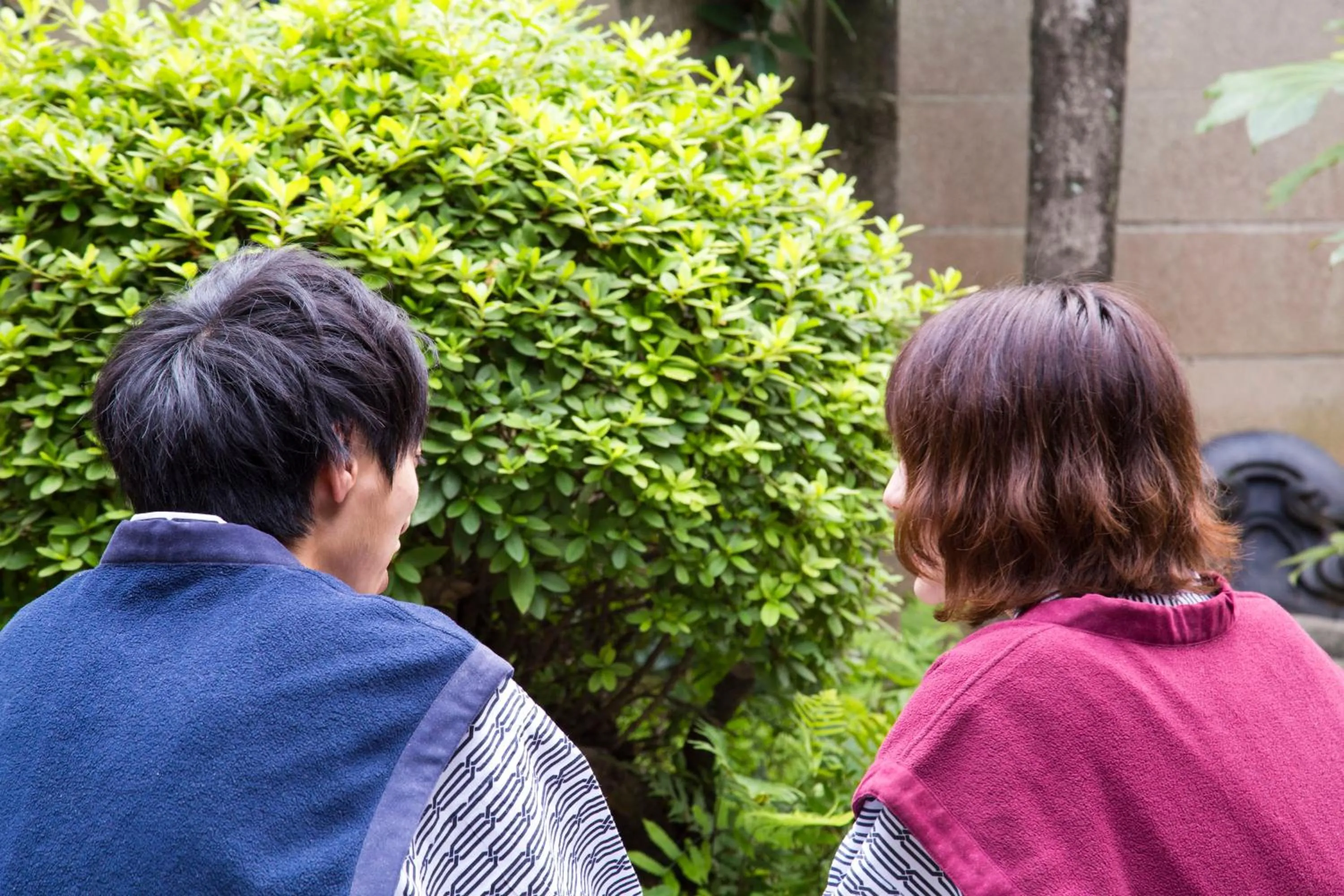 Ryokan Seifuso