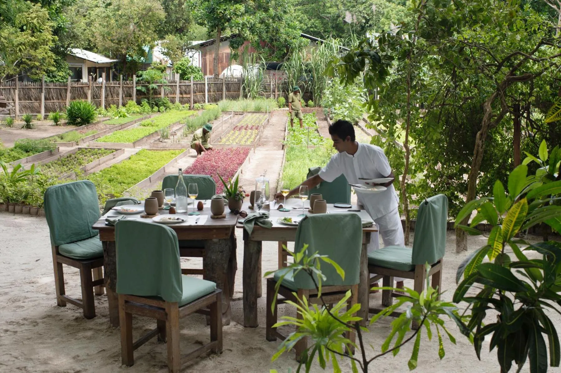 Food and drinks in Soneva Fushi