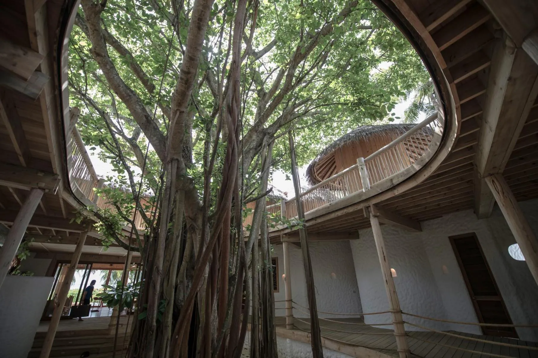 View (from property/room) in Soneva Fushi