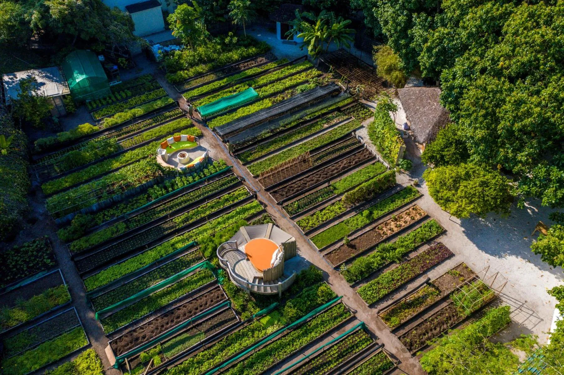 Garden in Soneva Fushi