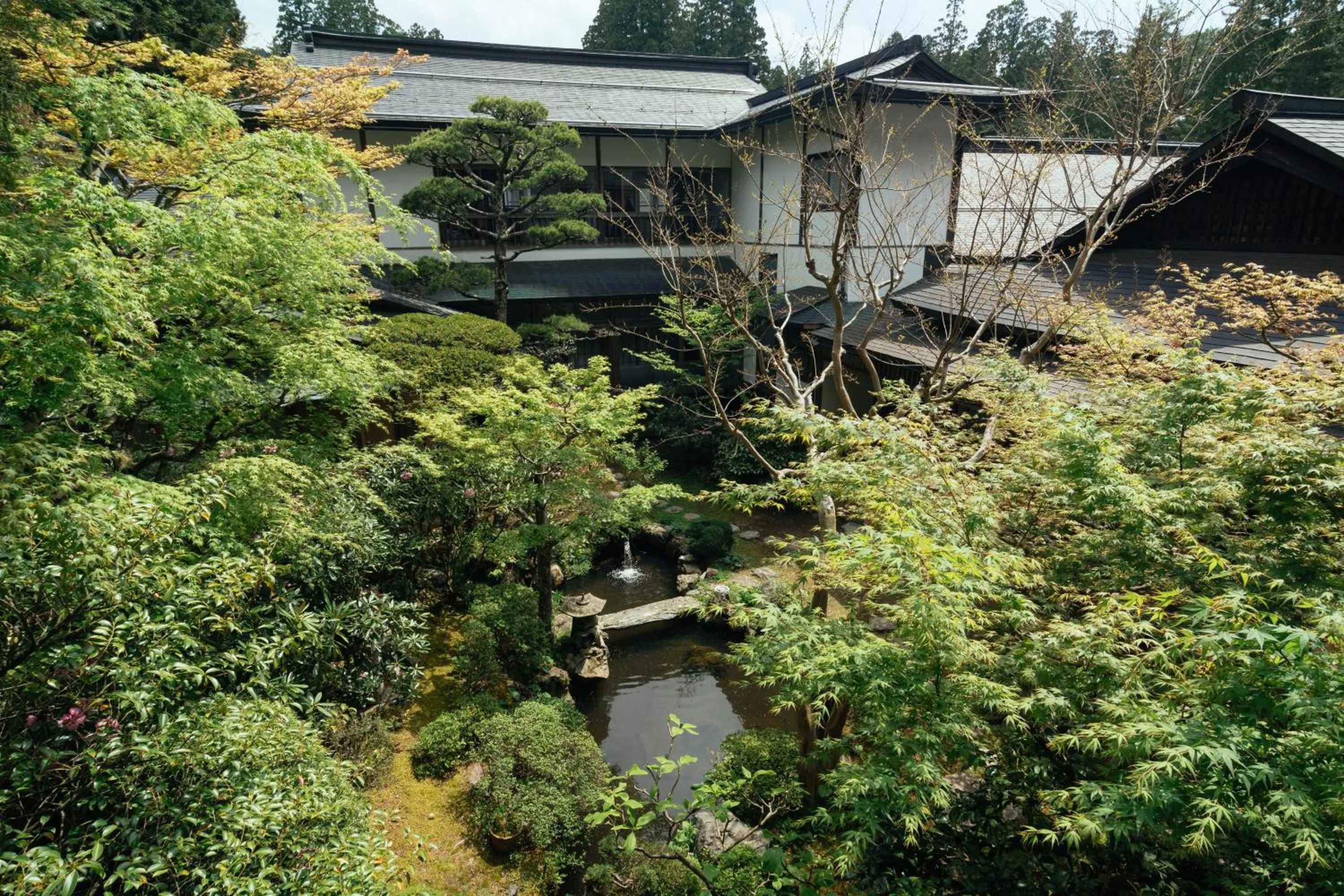 Garden in 高野山 宿坊 増福院 -Koyasan Shukubo Zofukuin-