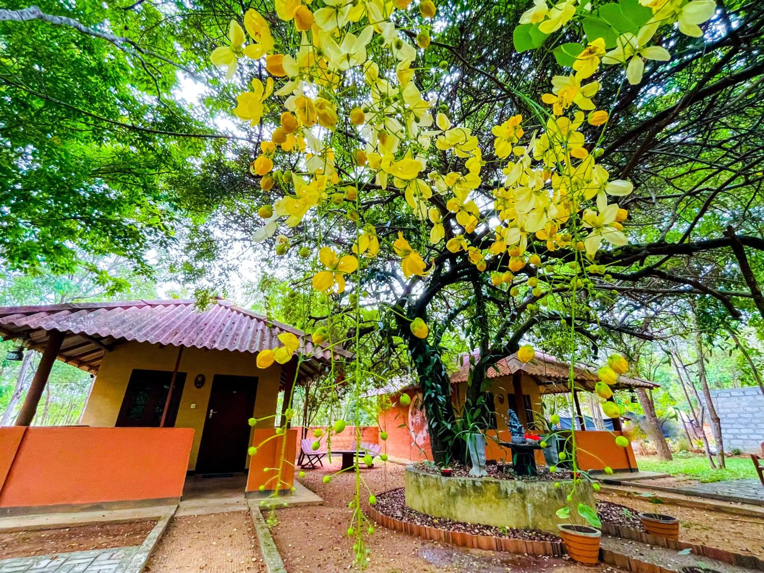 Property building in Hotel Niyagala Lodge Sigiriya