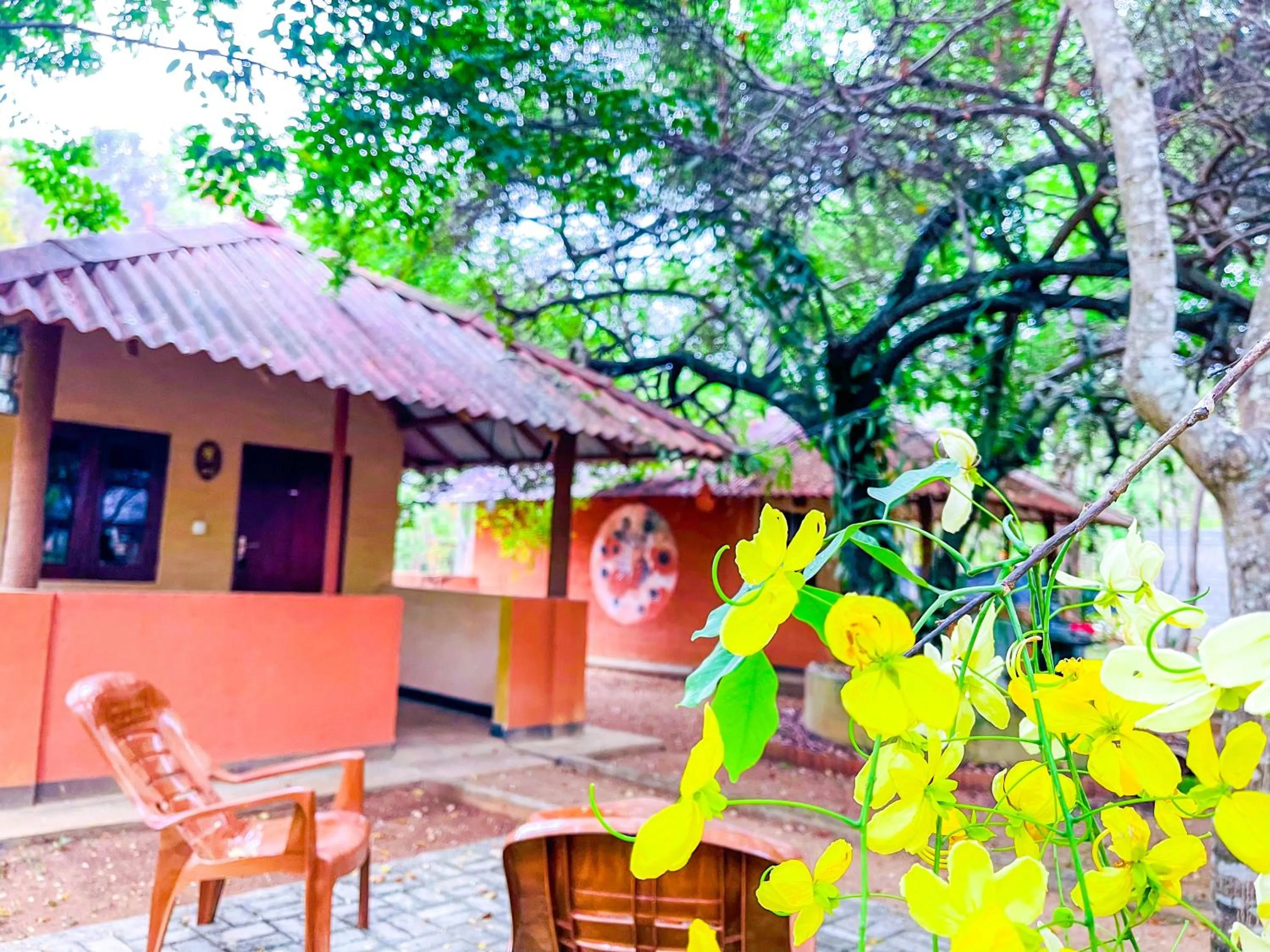 Property building in Hotel Niyagala Lodge Sigiriya