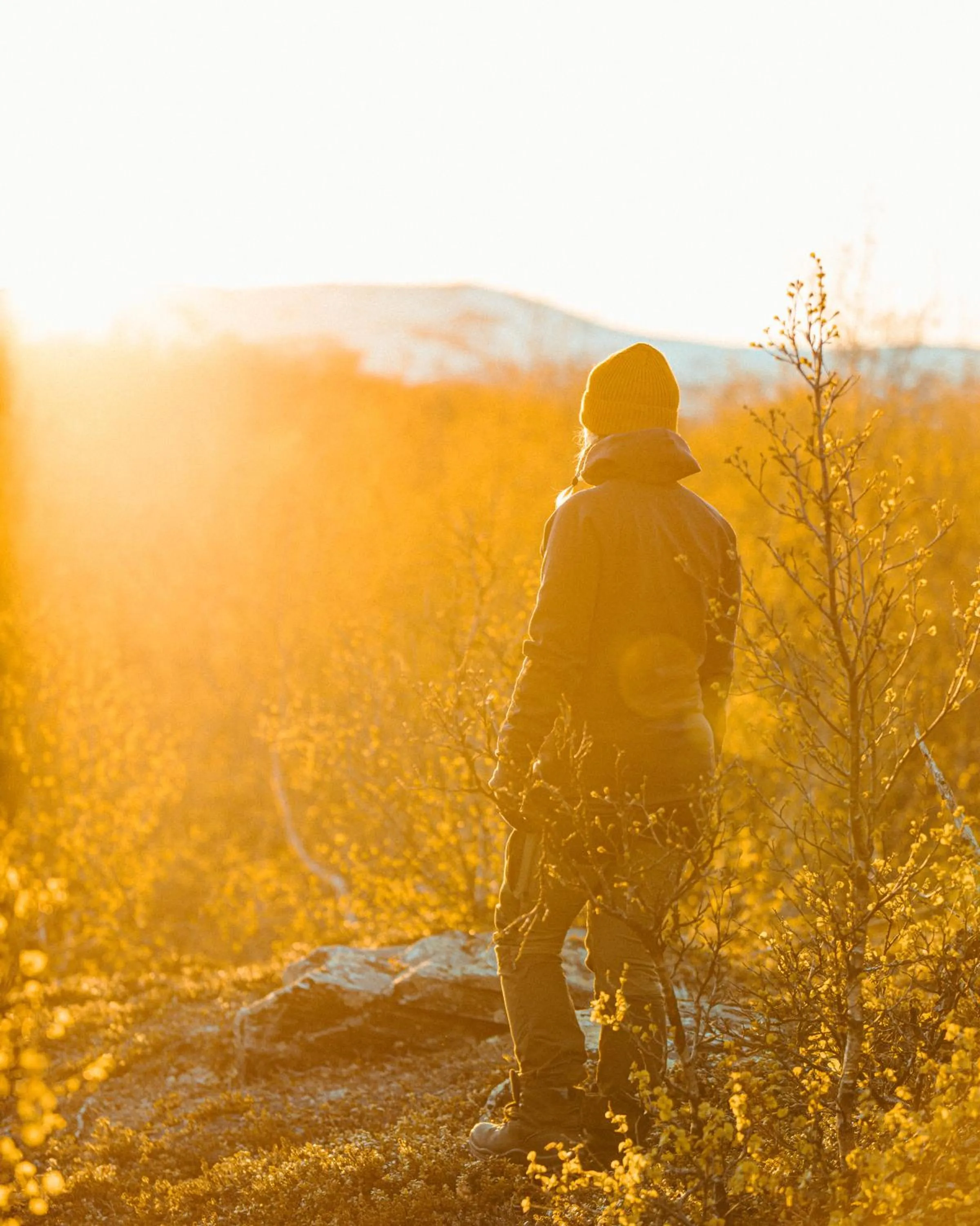 Natural landscape in Abisko Mountain Lodge