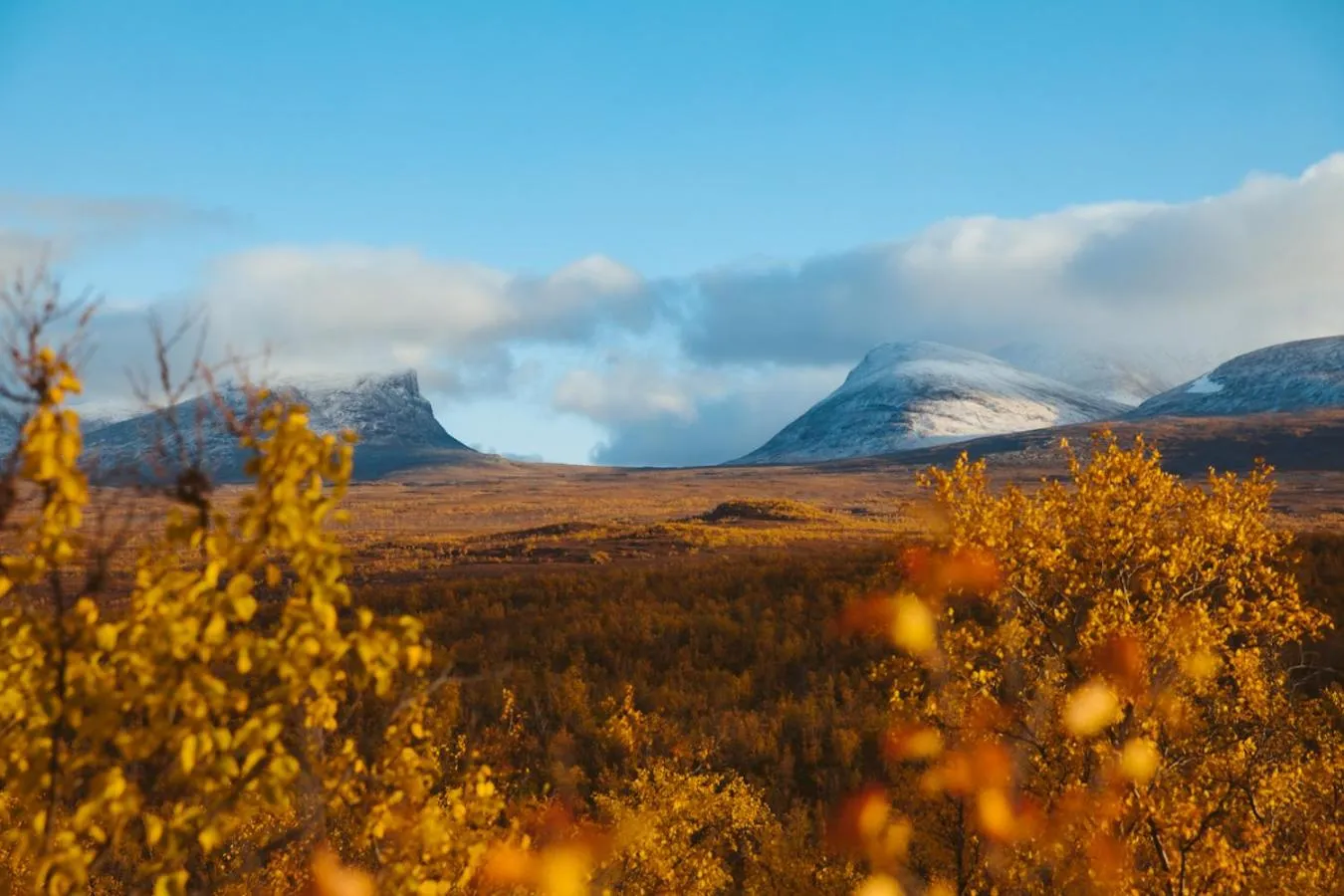 Natural landscape in Abisko Mountain Lodge