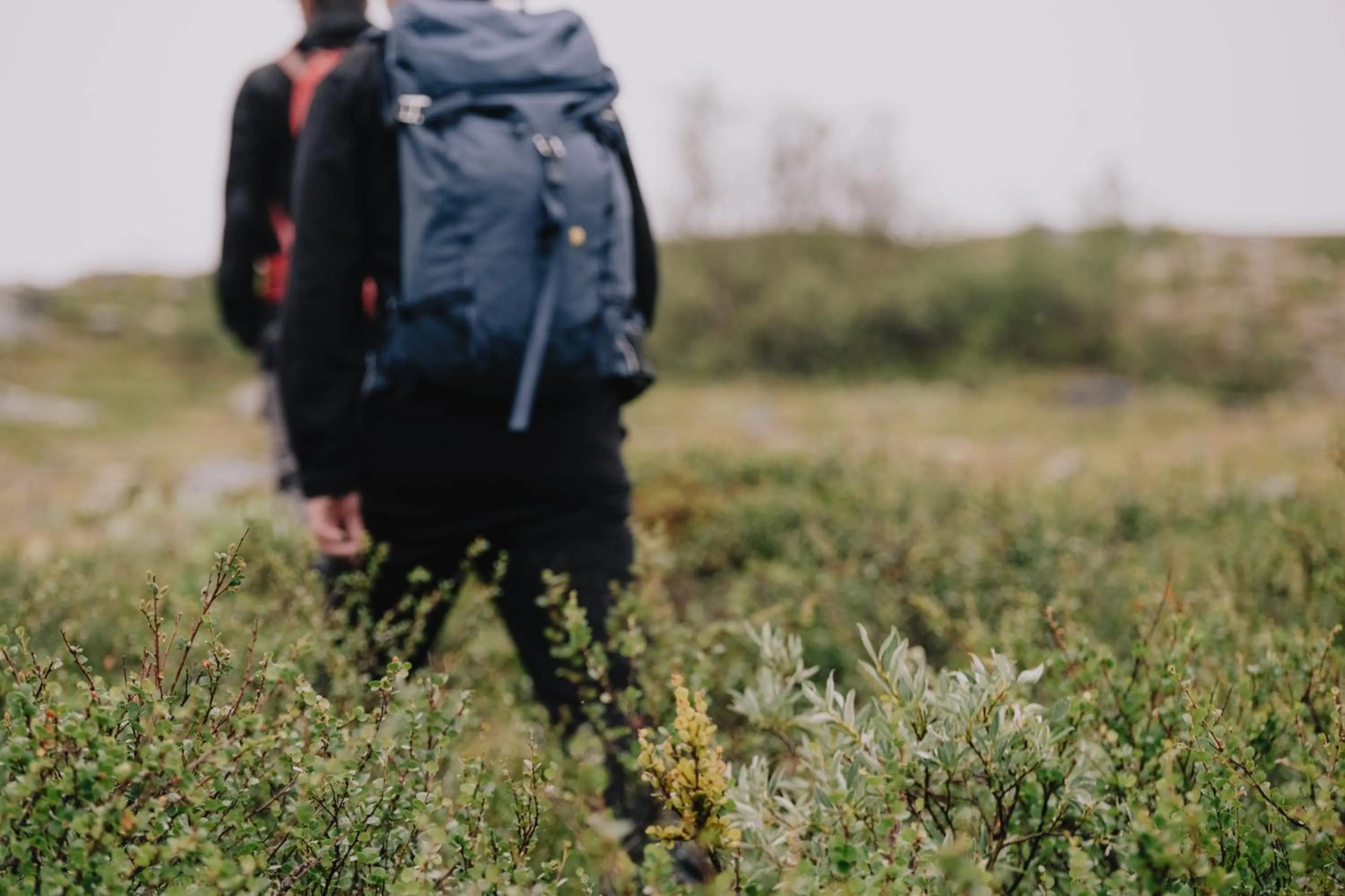 Activities in Abisko Mountain Lodge