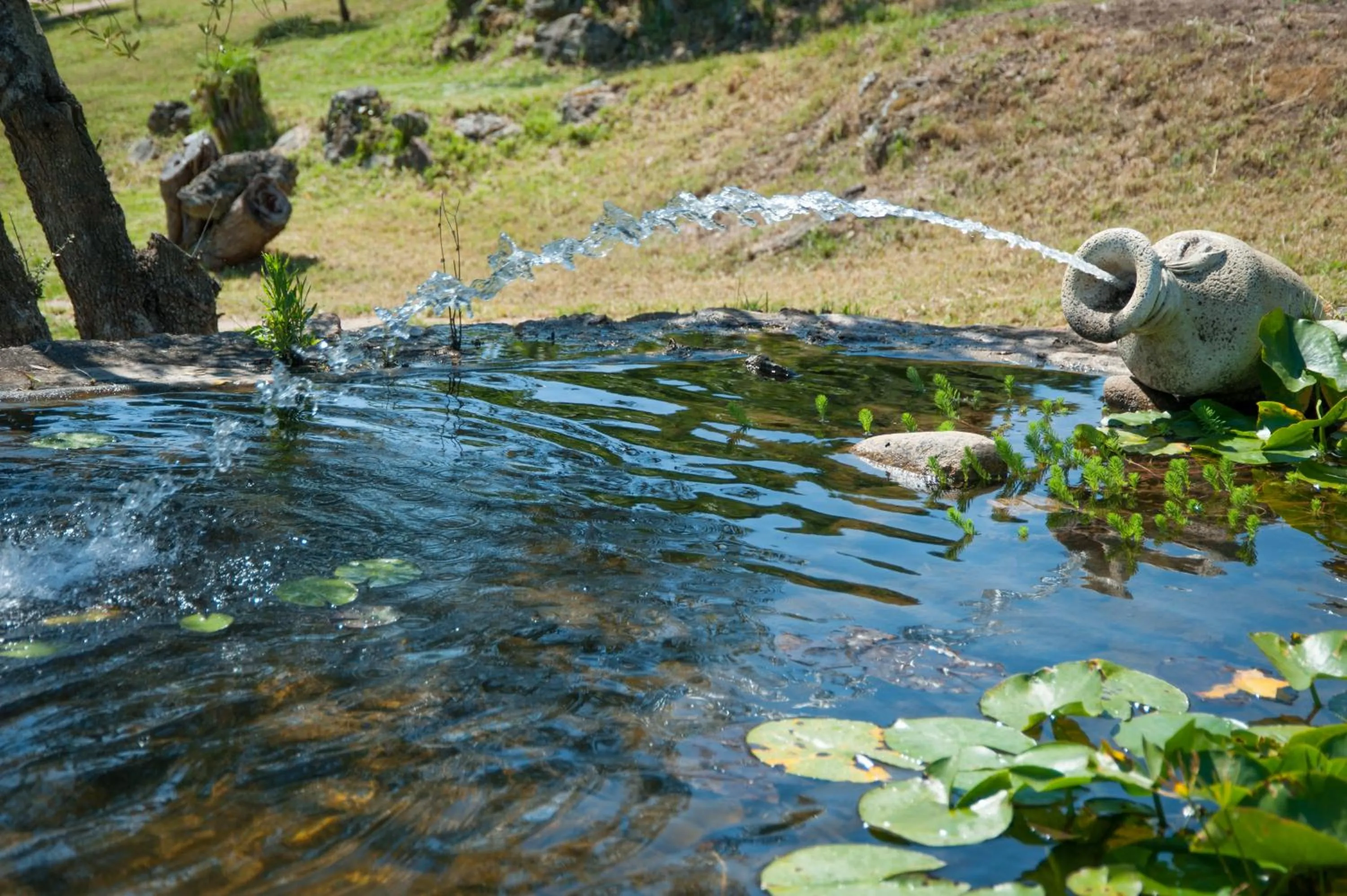 Garden in Résidence U Pirellu