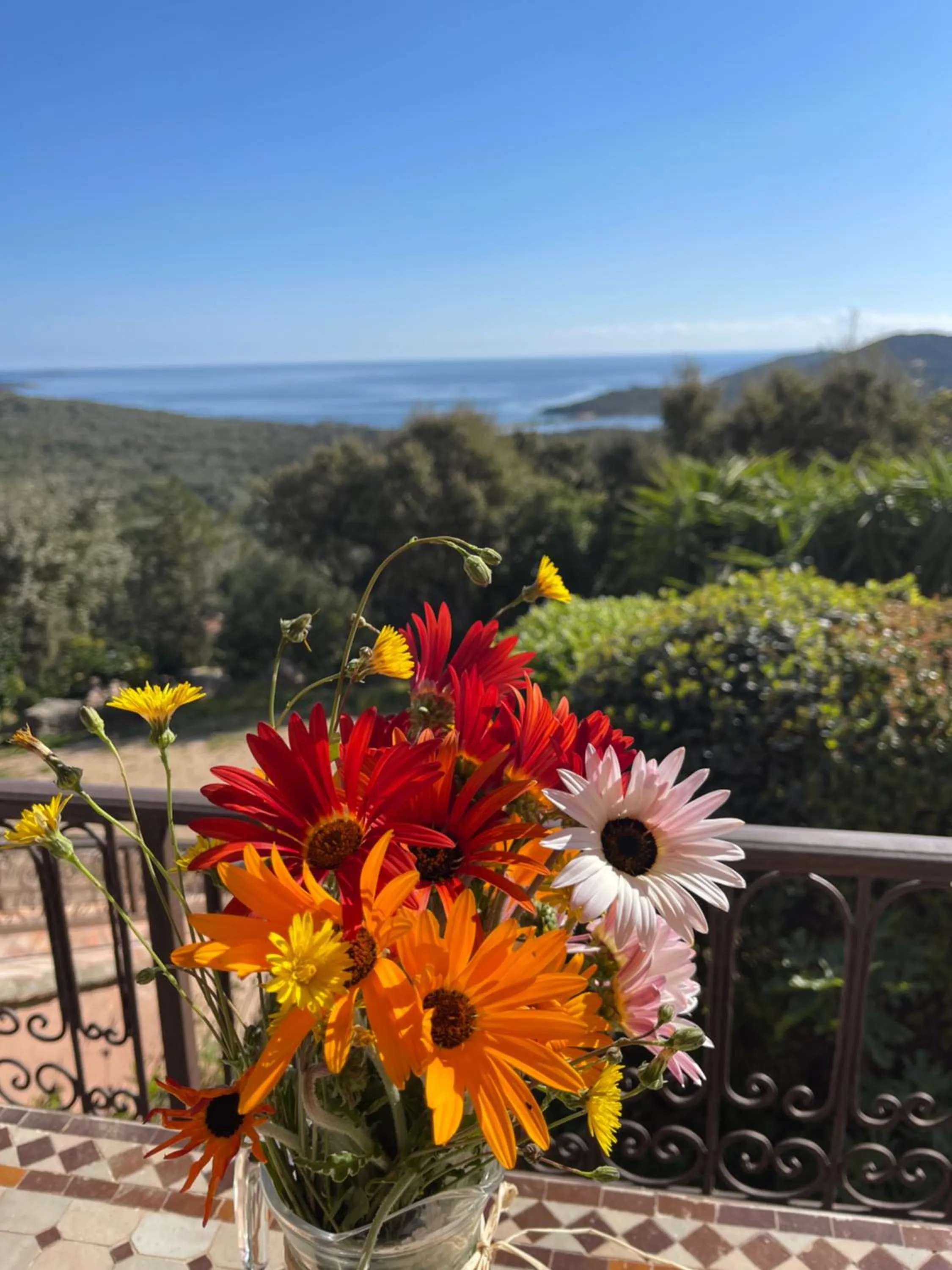 Sea view in Résidence U Pirellu