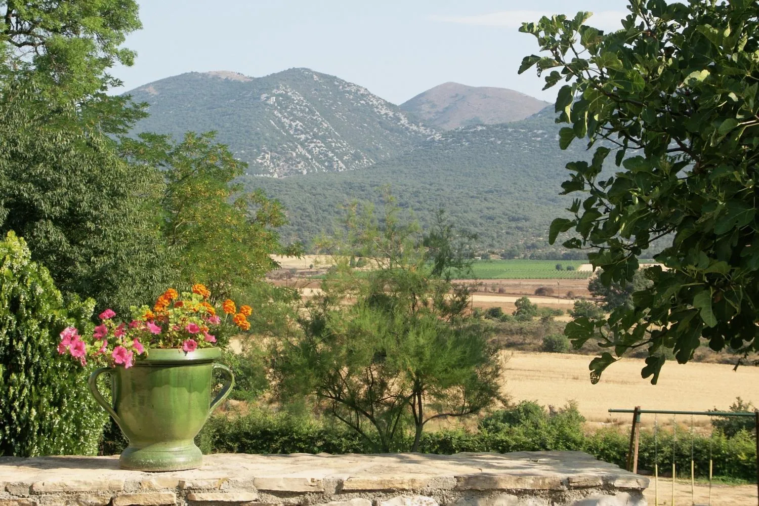Area and facilities in Domaine De Blancardy