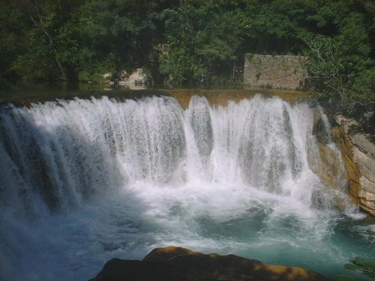 Natural landscape in Domaine De Blancardy