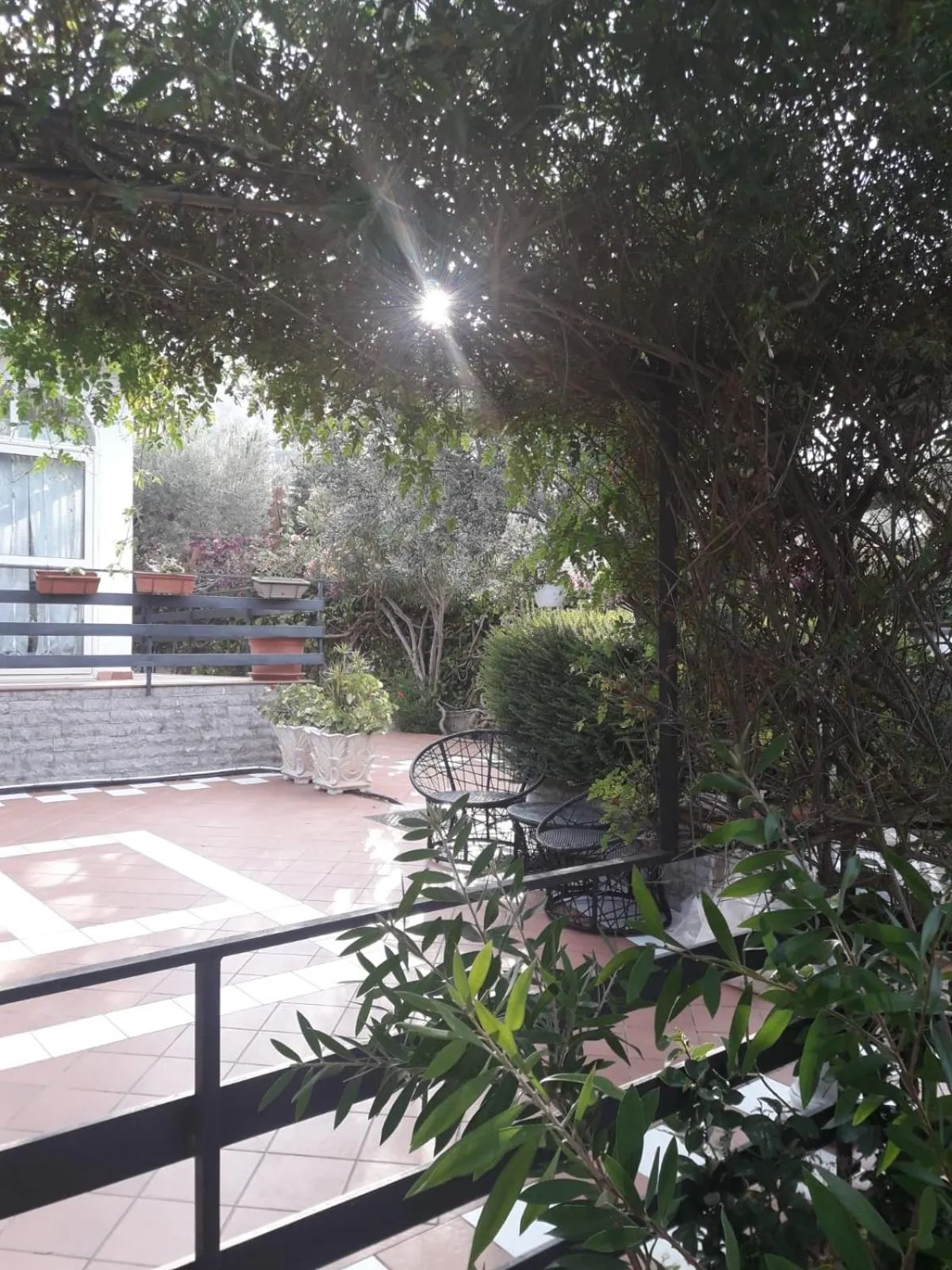 Garden in Grotta dei Puntali B&B