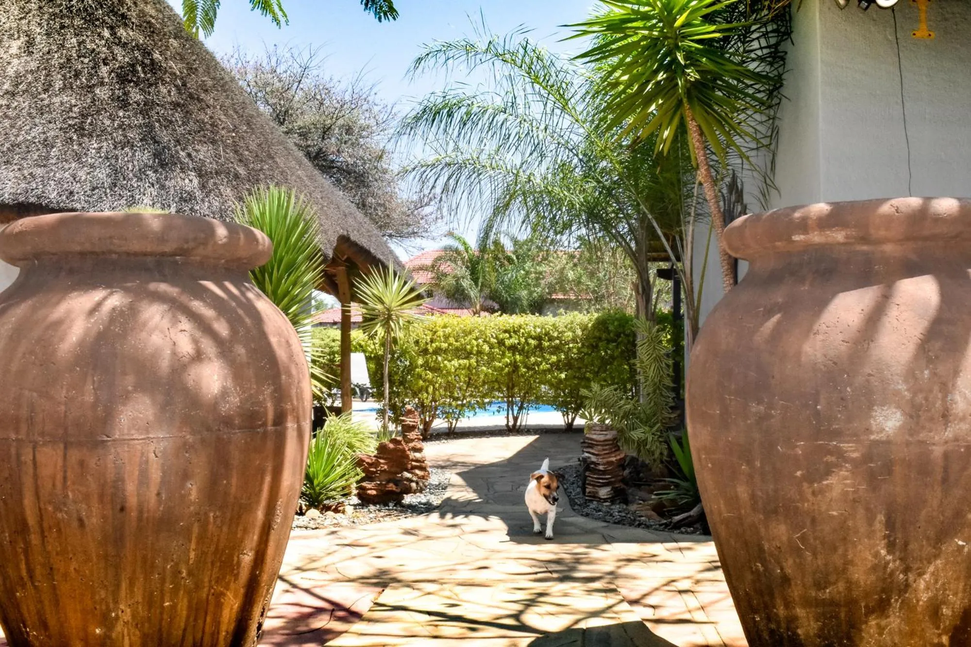 Patio in Kamaku Guesthouse cc