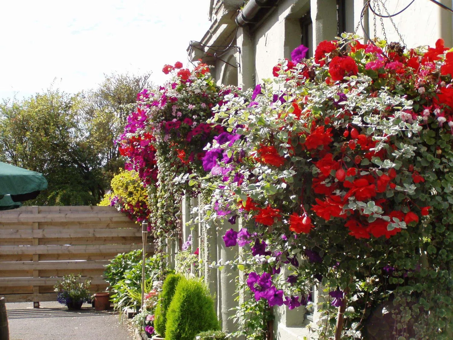 Facade/entrance in Auld Mill House Hotel