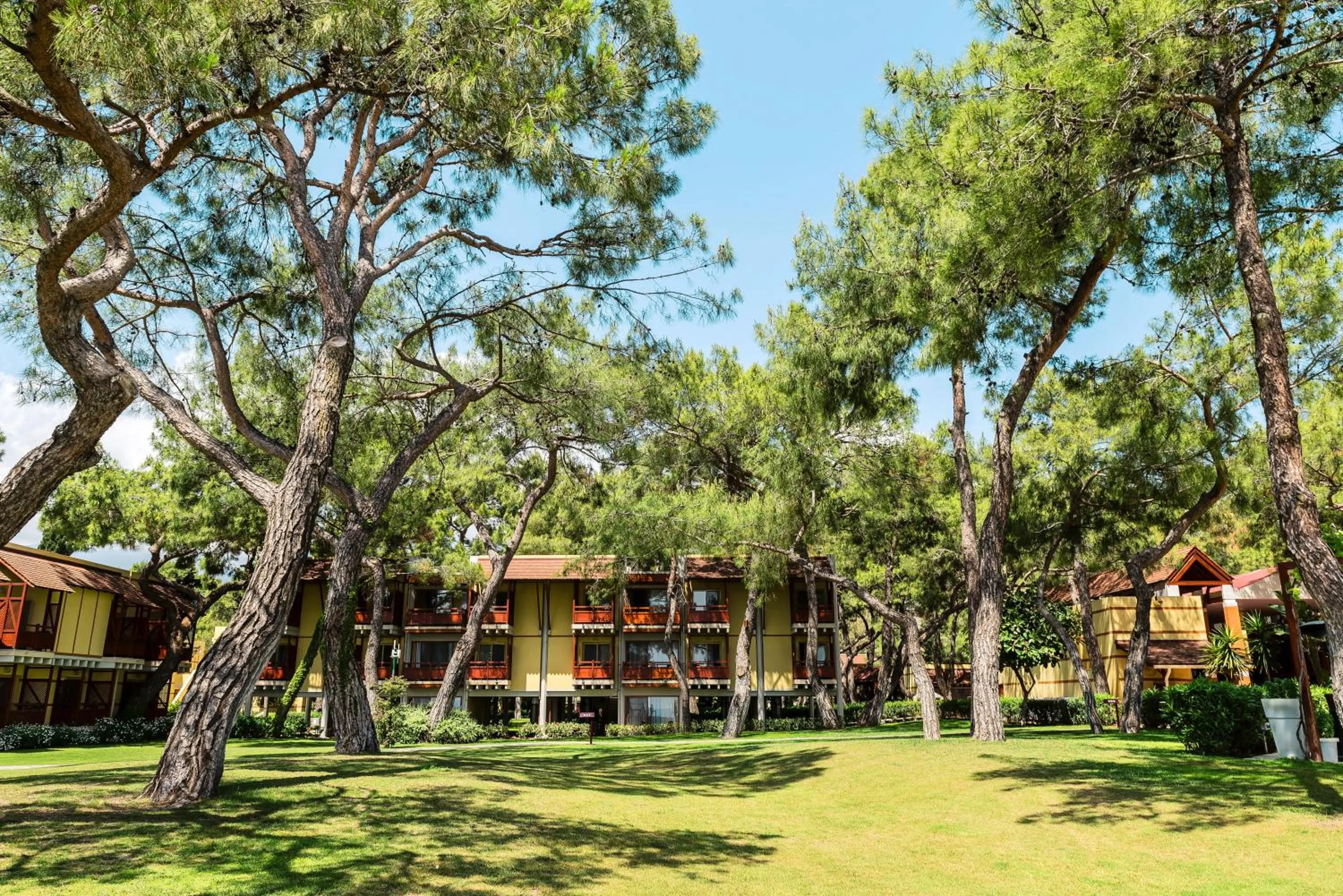 Garden in ROBINSON CAMYUVA - Adults only