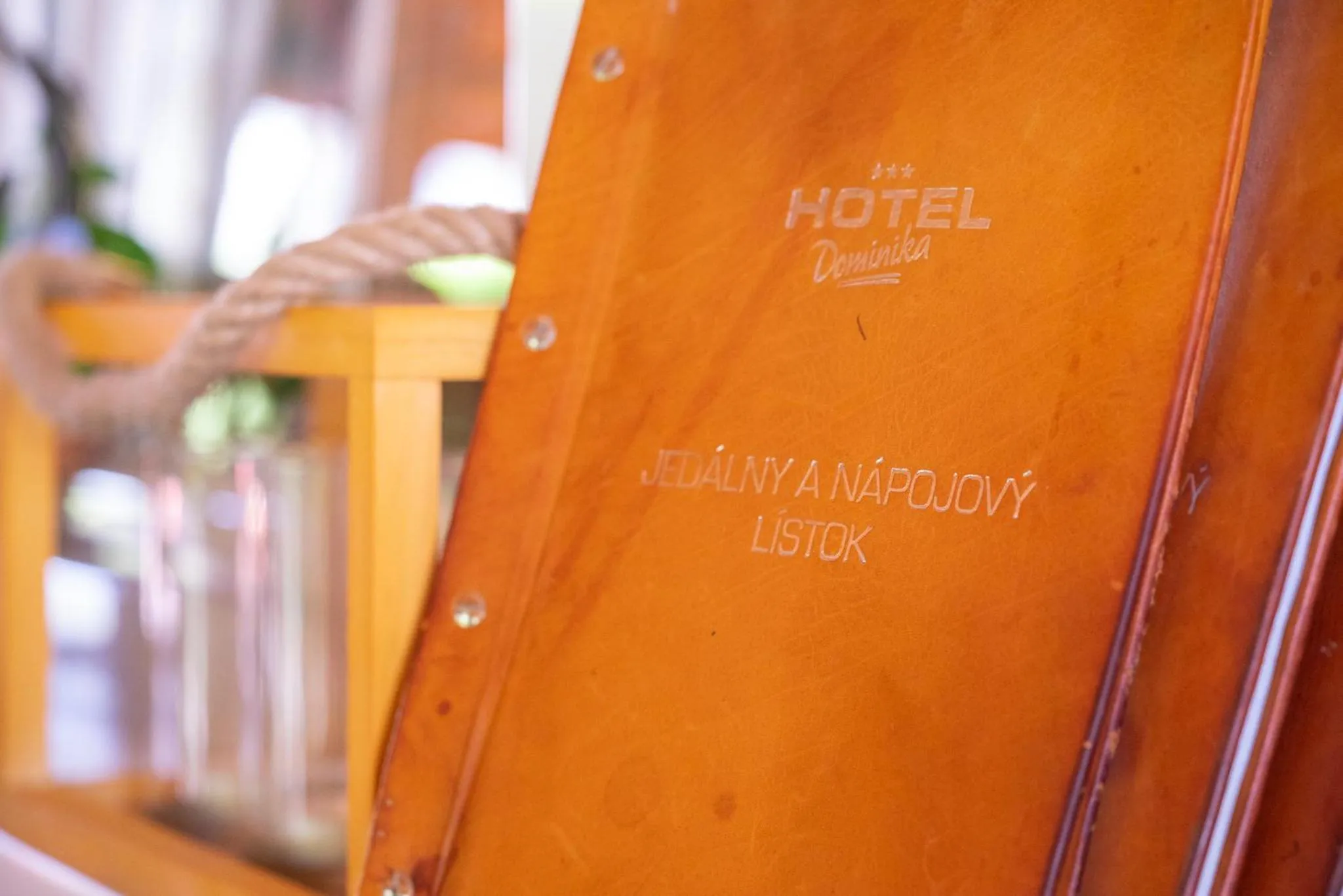 Entertainment in Hotel Dominika