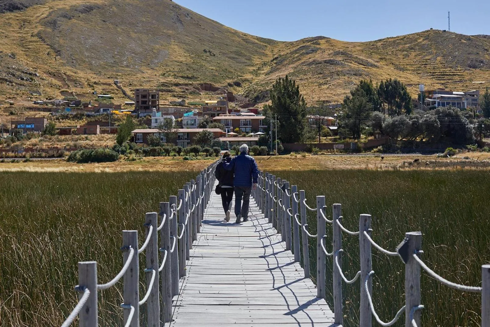 View (from property/room) in Casa Andina Premium Puno