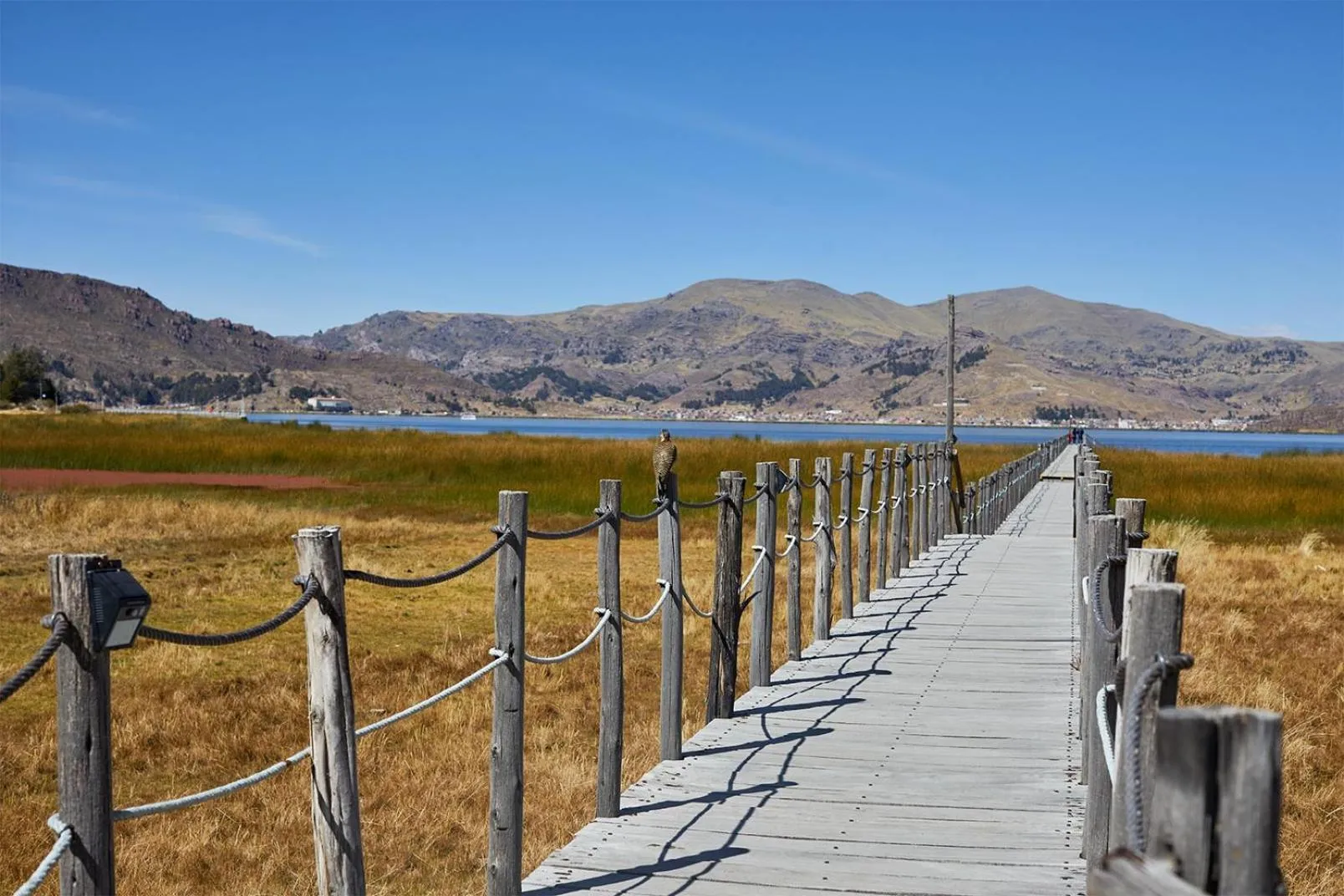 View (from property/room) in Casa Andina Premium Puno