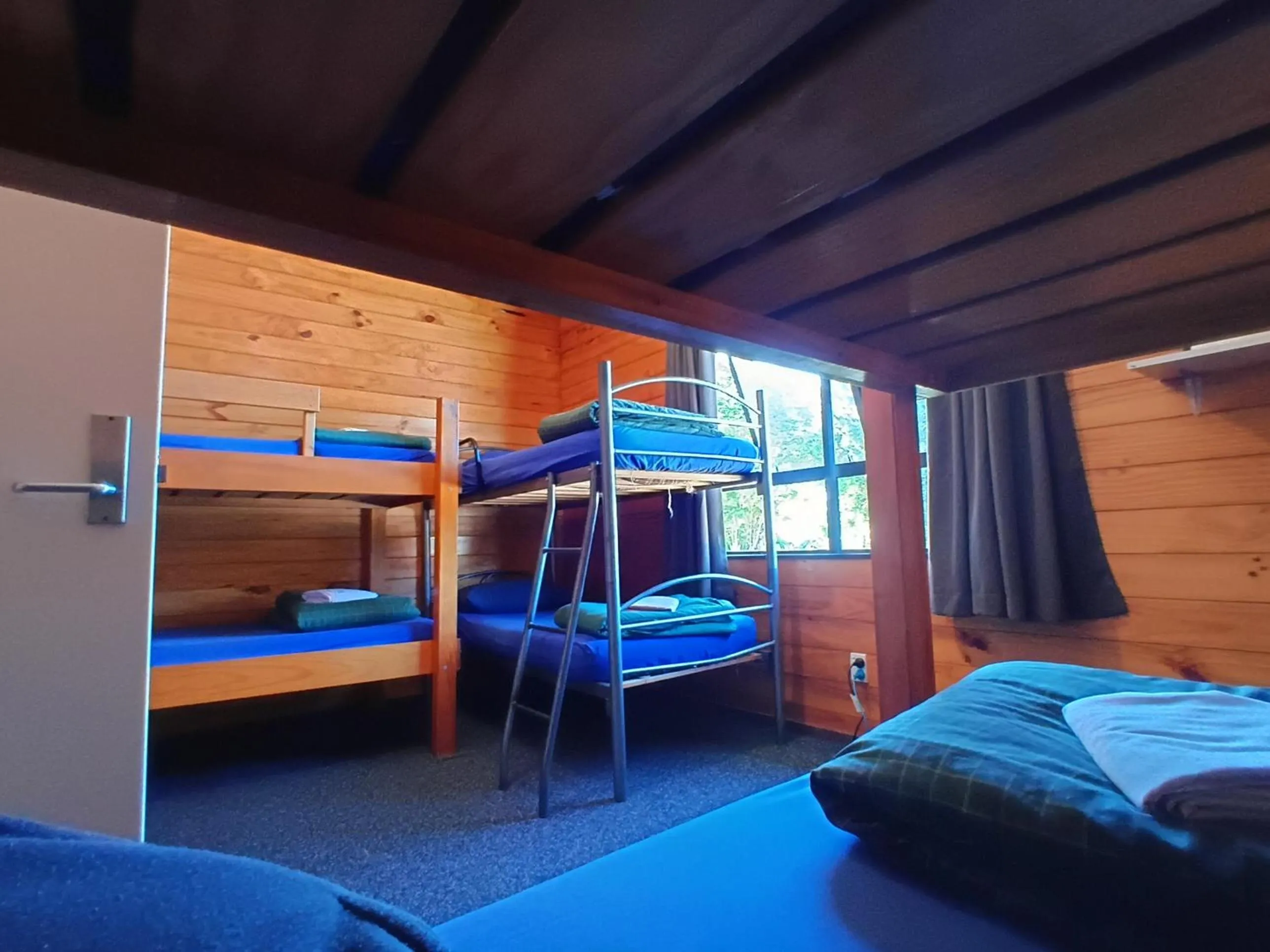Photo of the whole room, Bed in JunoHall Backpackers