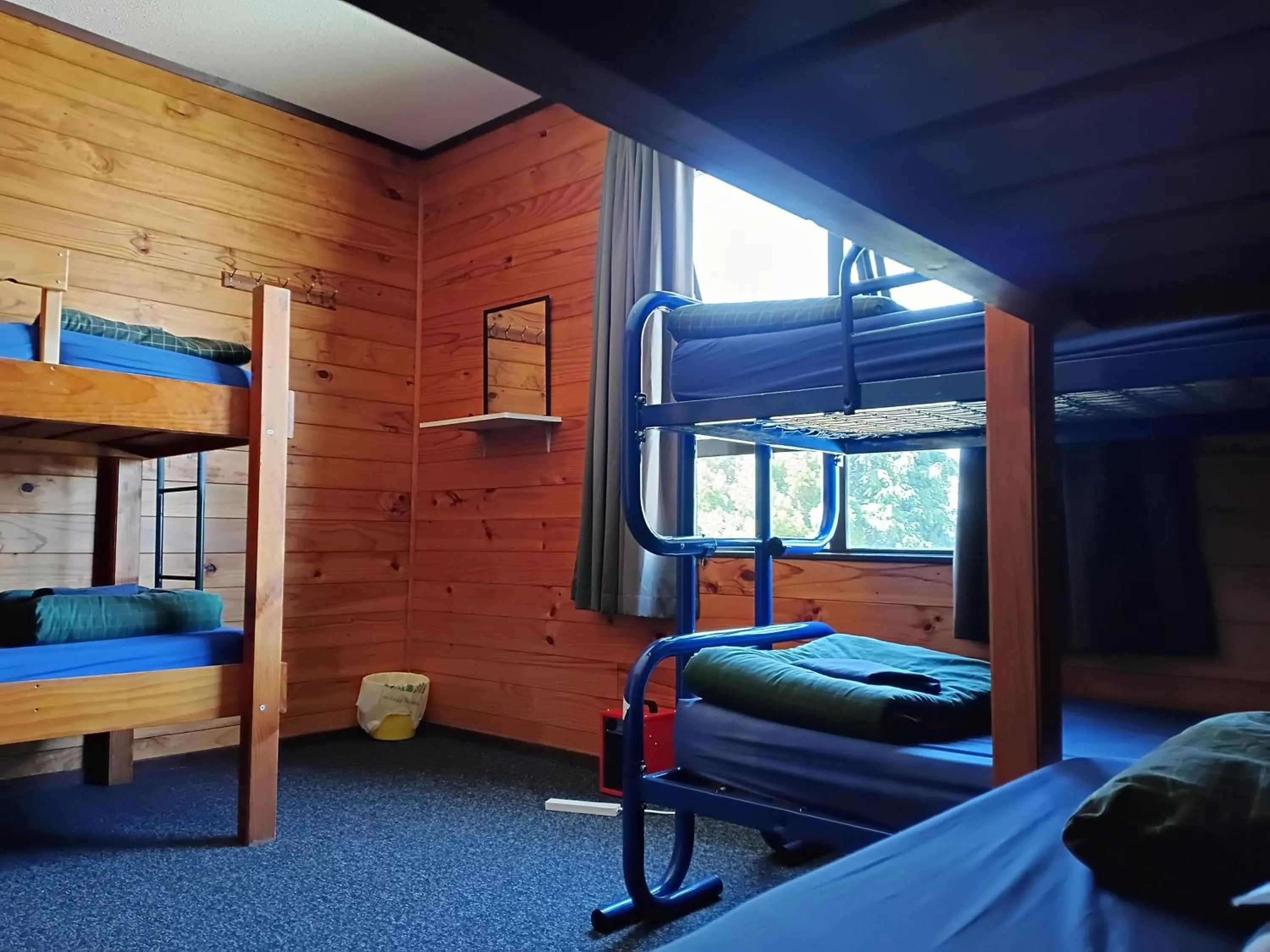 View (from property/room), Bed in JunoHall Backpackers